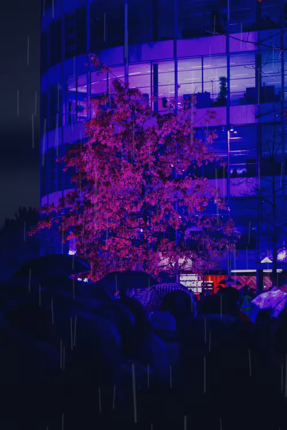Tears In The Rain