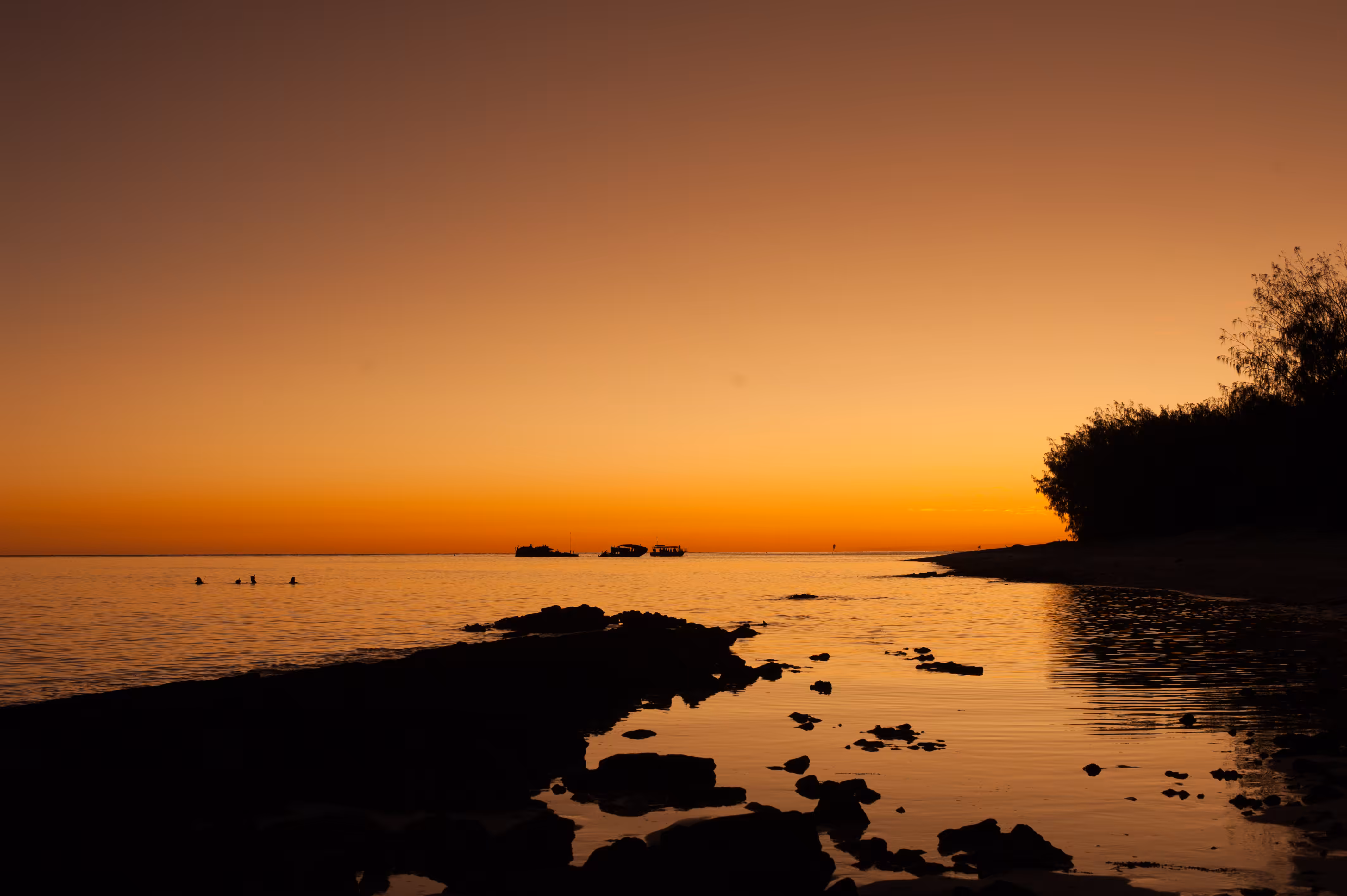 Day50- metallic sunset