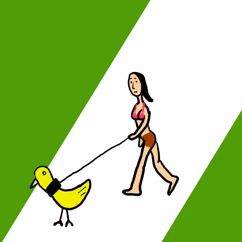 wALKING A DOG