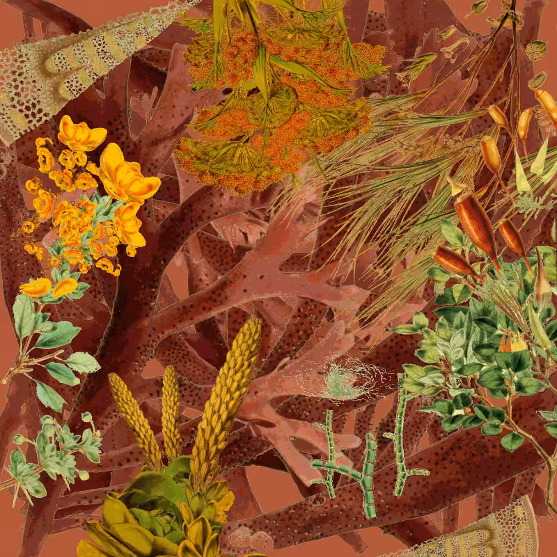 future flora from Antarctica's past #63