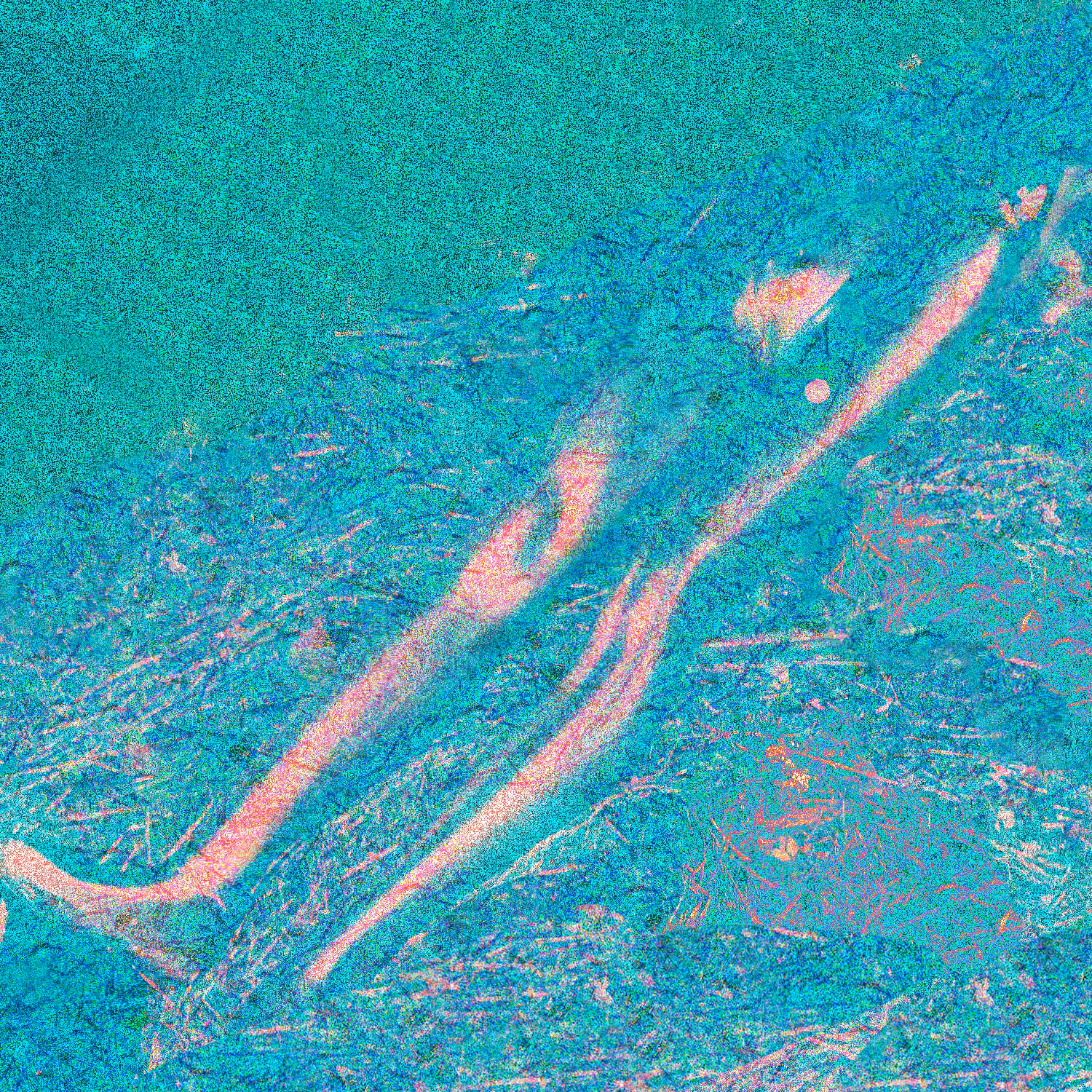 River1895#1