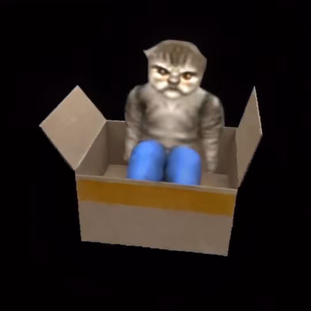 cats in pants: cat box