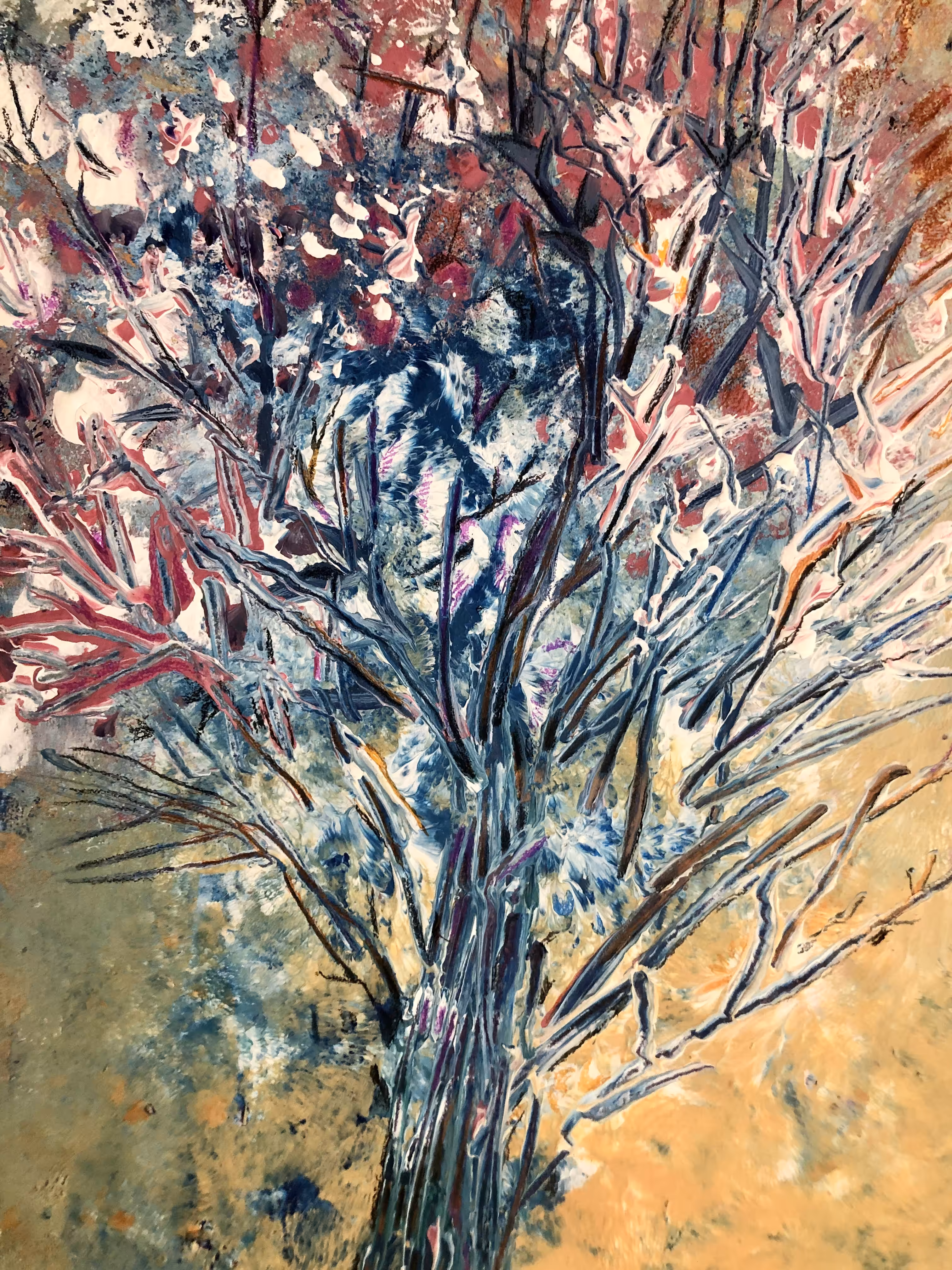 "The Timeless Tree "