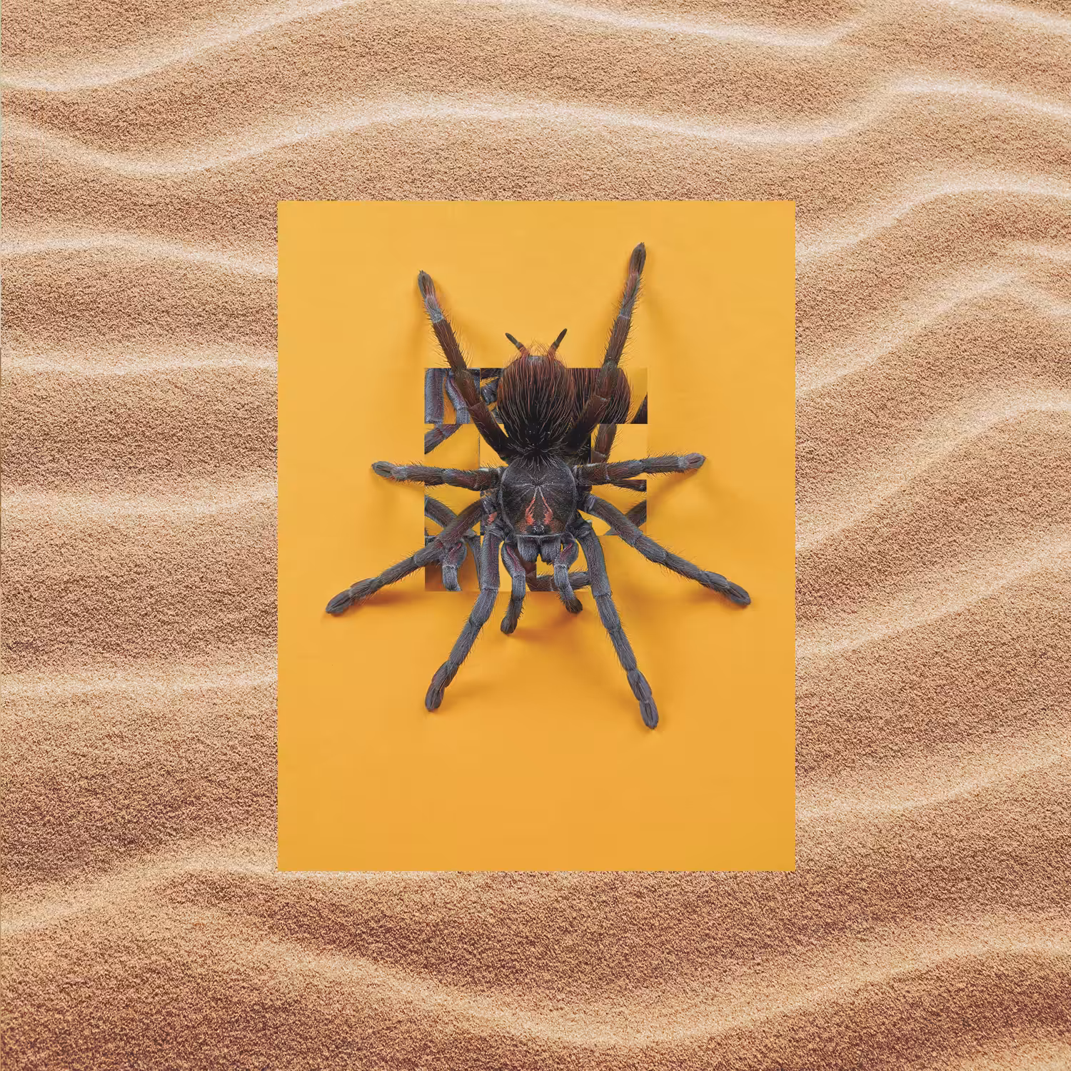 The web and the frame
