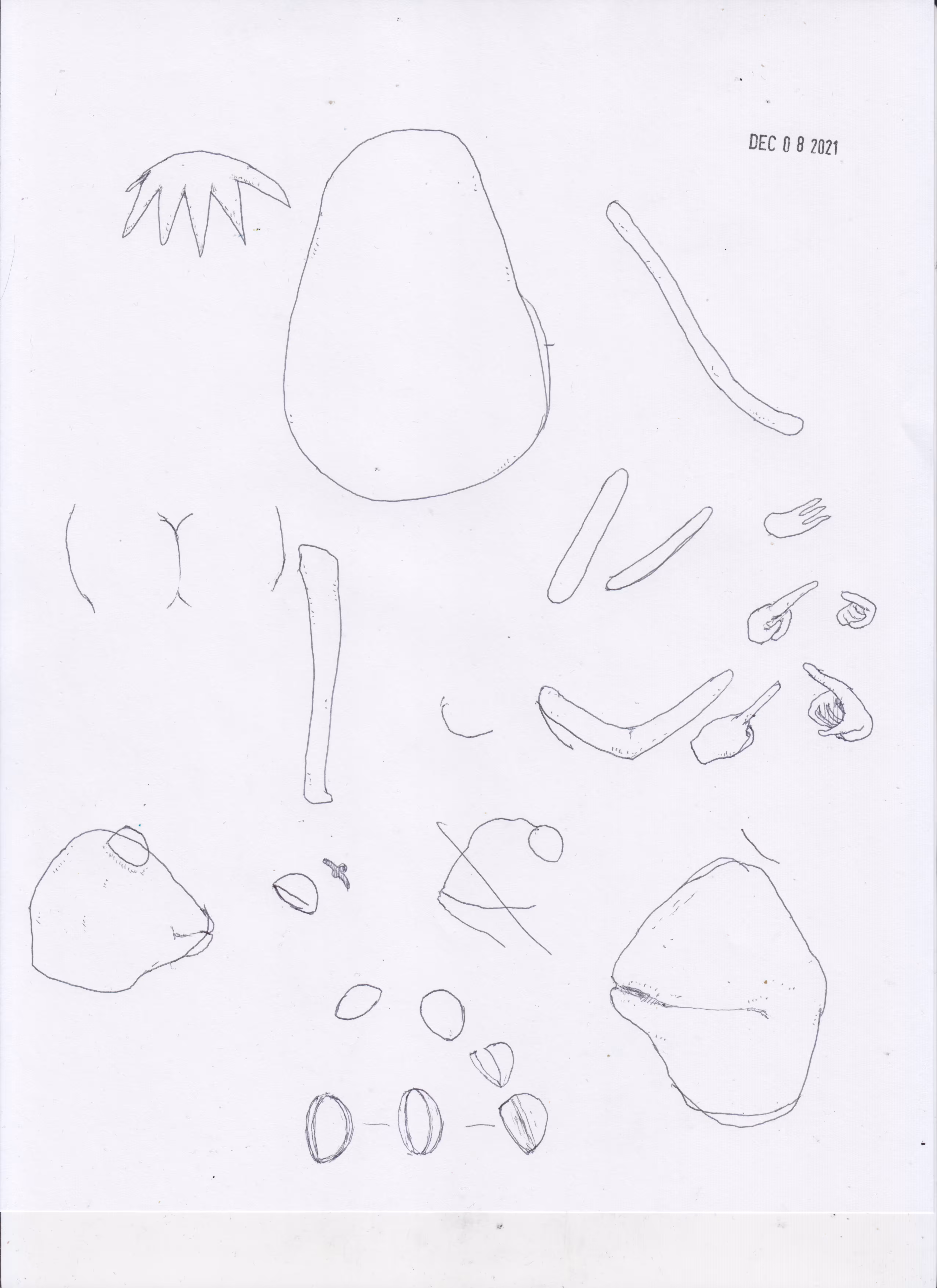 ELEMENTS: ELEMENT_67