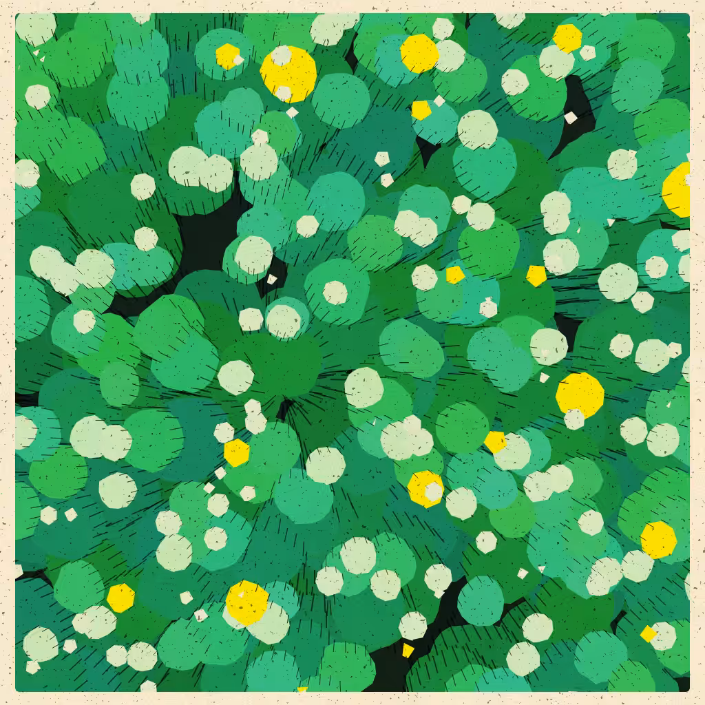 Etude°1 - Revised #2