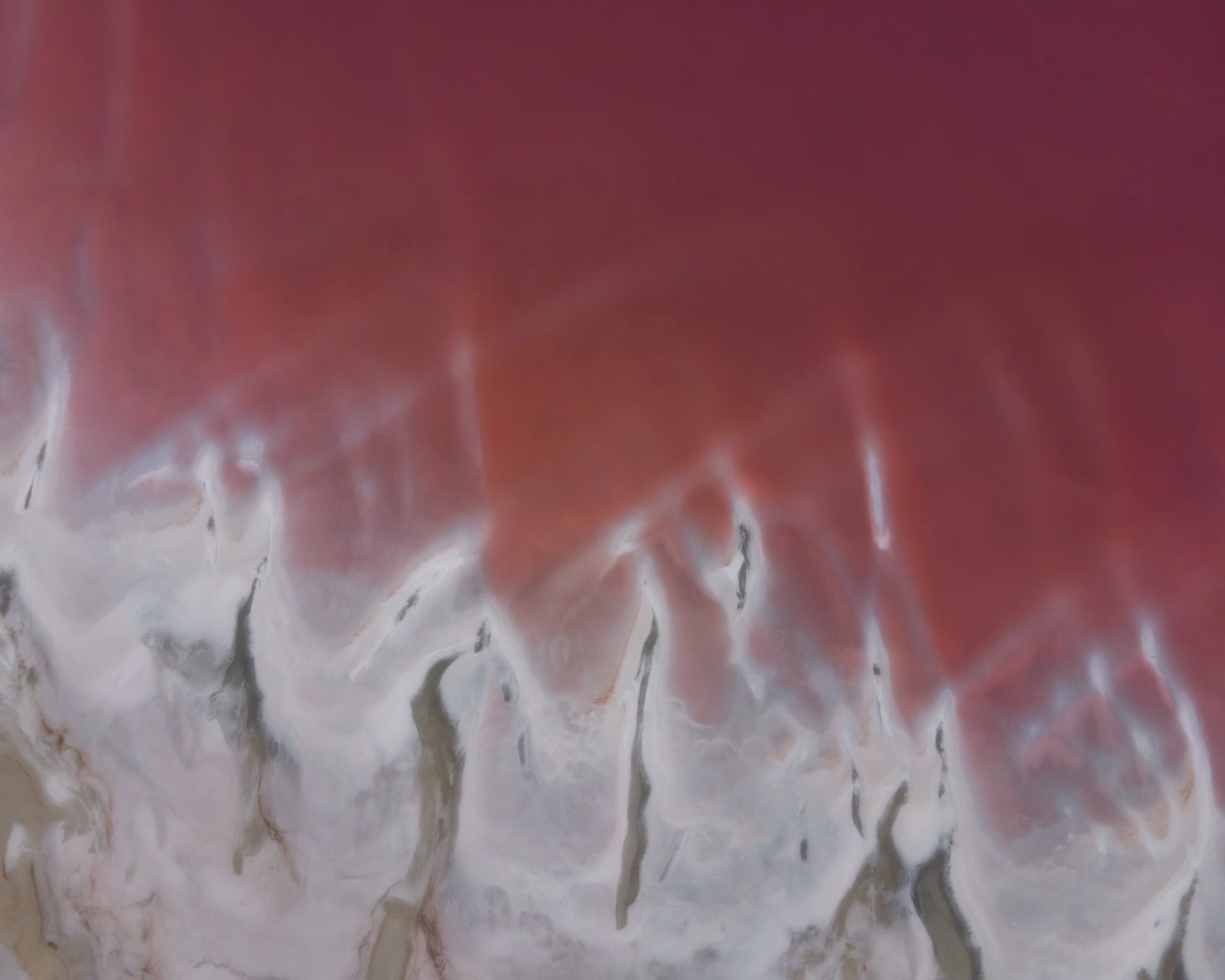 Magenta Tides