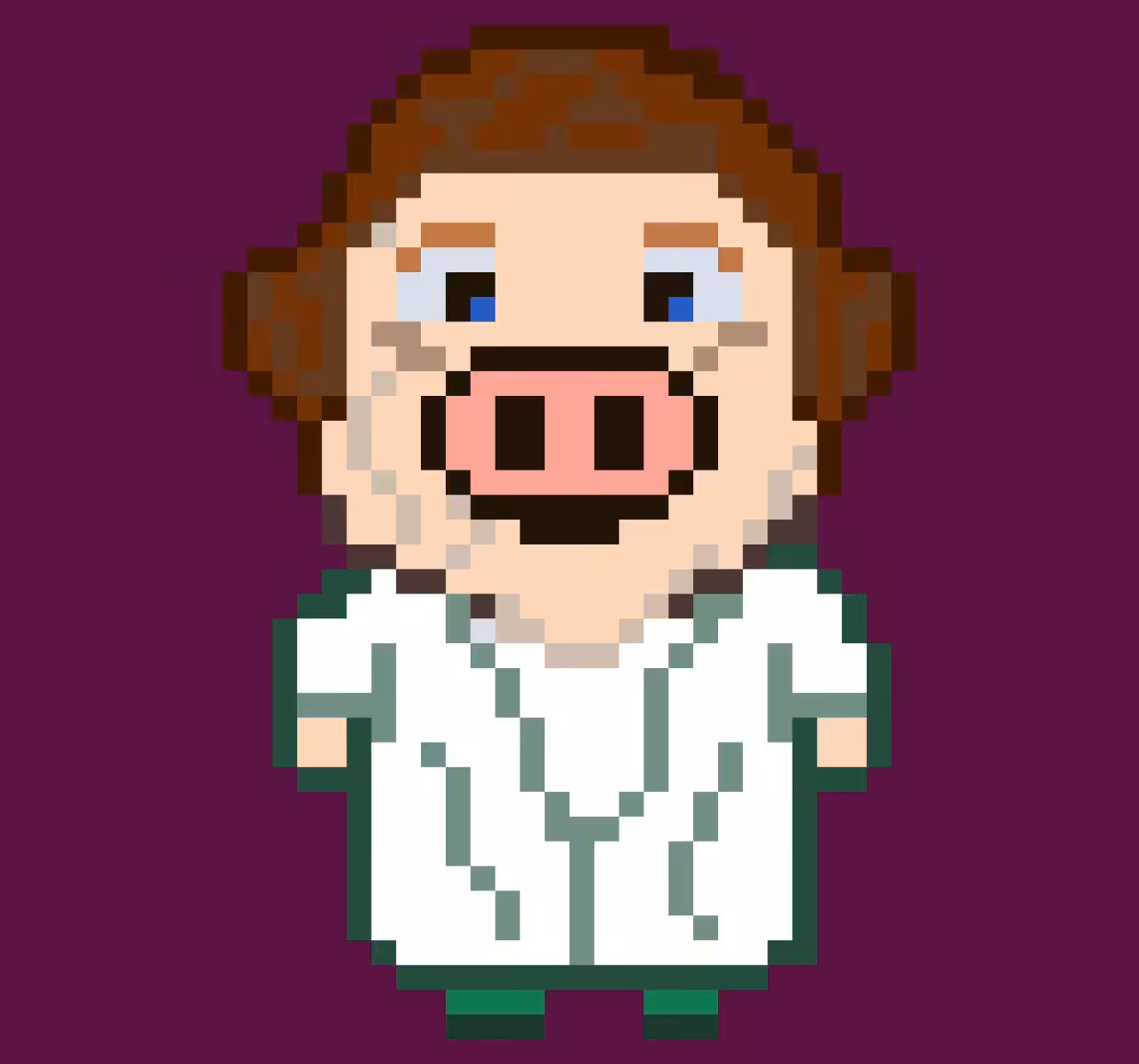 Mr Ham Pig Star Wars Princess Leia #042