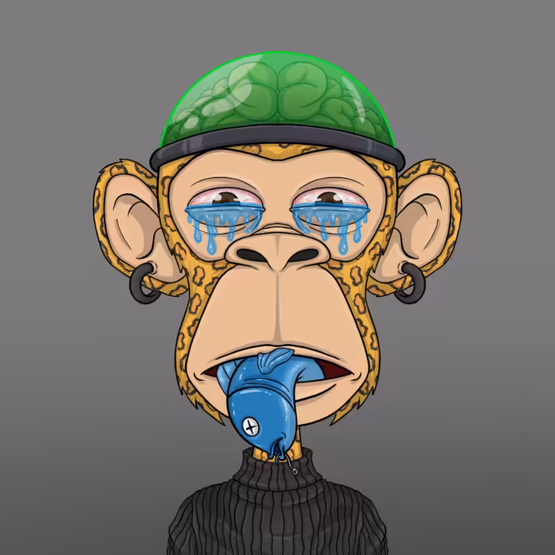 chimpantez #15