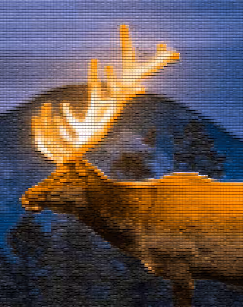DEER 4