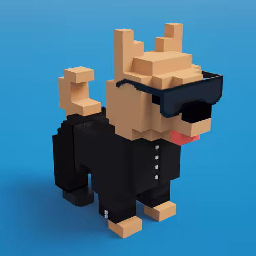 NFTEngineer x DogeBits 3d