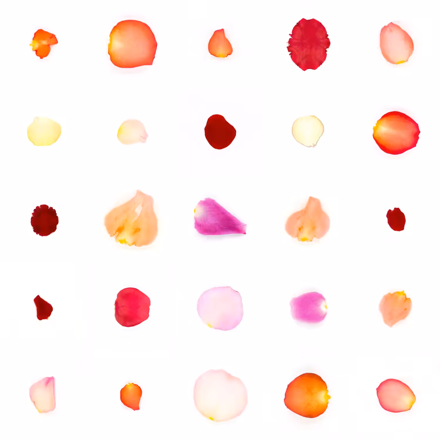 Infinite Petals 5x5#21323