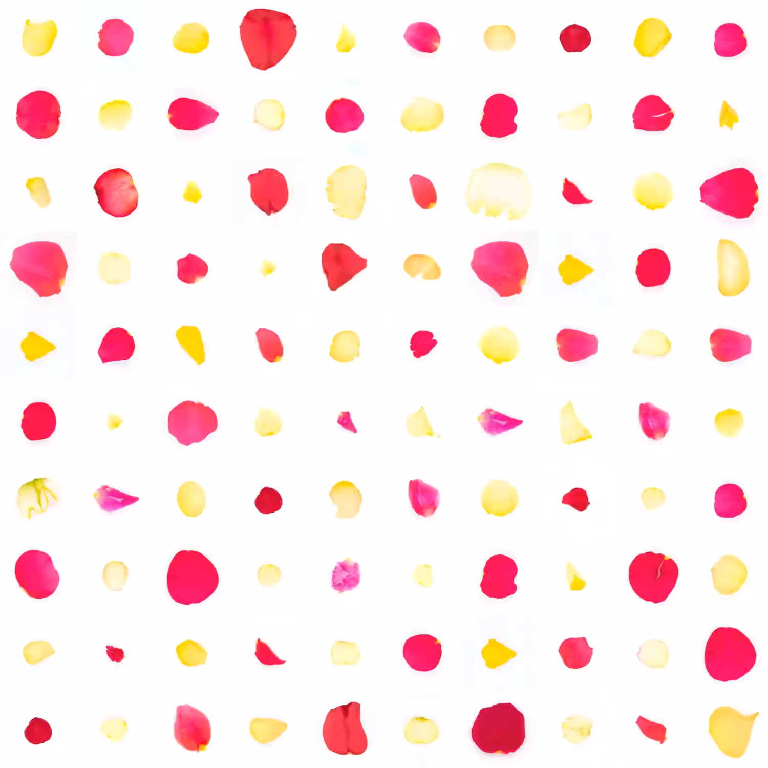 Infinite Petals 10x10#506428