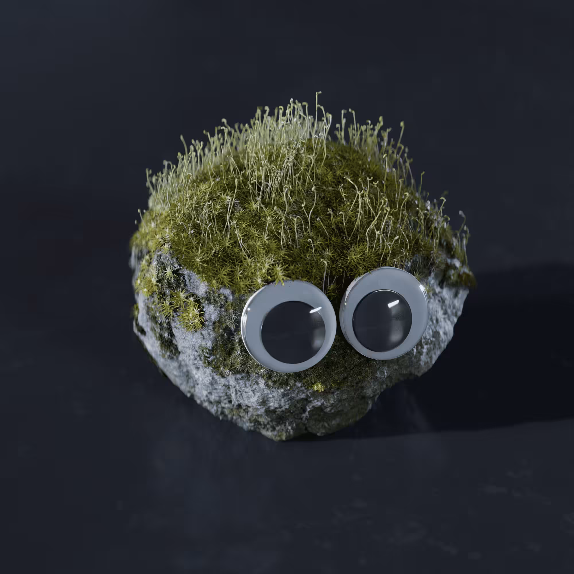 #6 The Mossy Rock