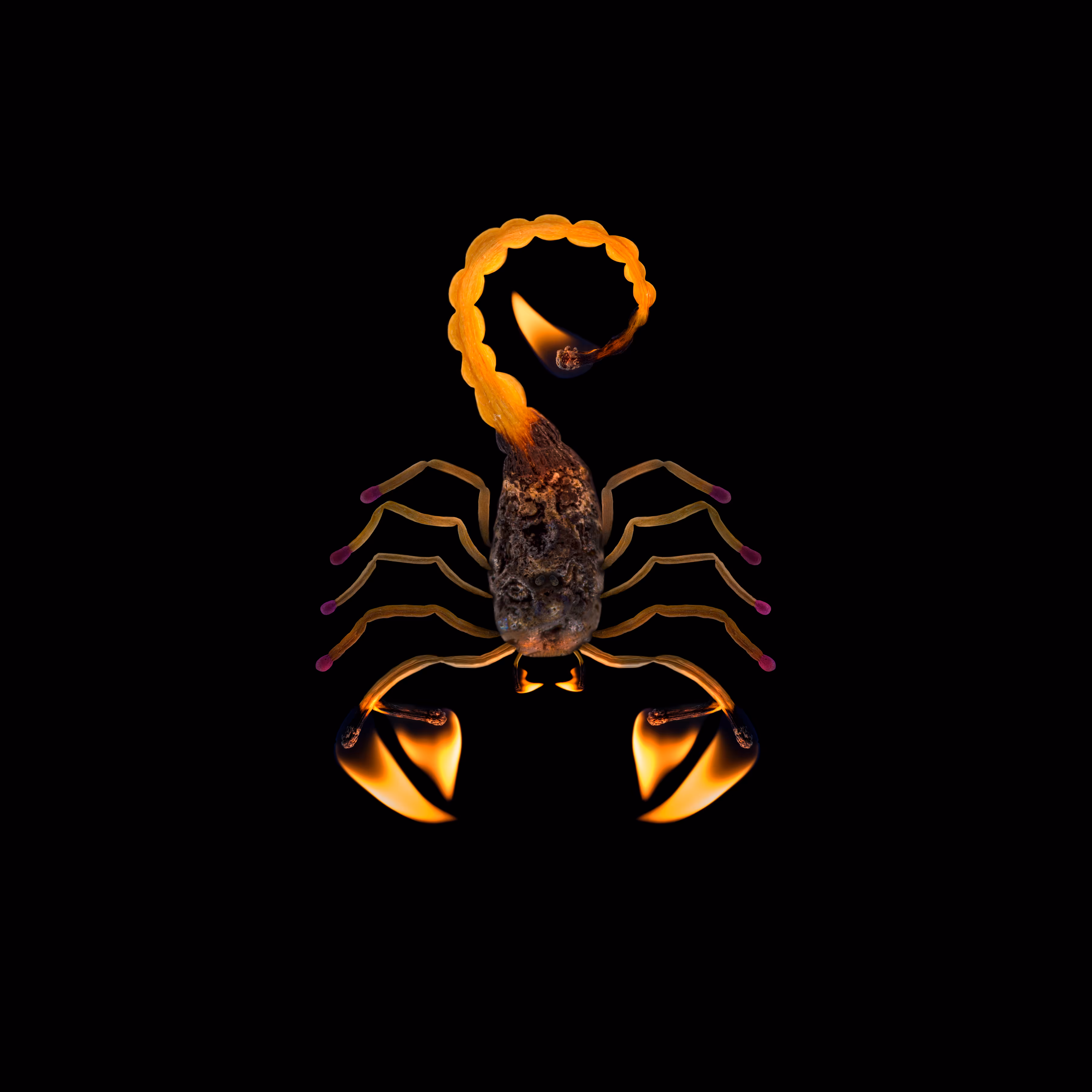 #55 - Scorpion