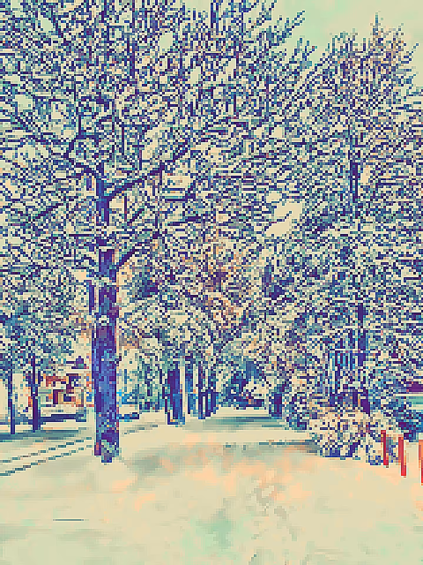 Looks like winter