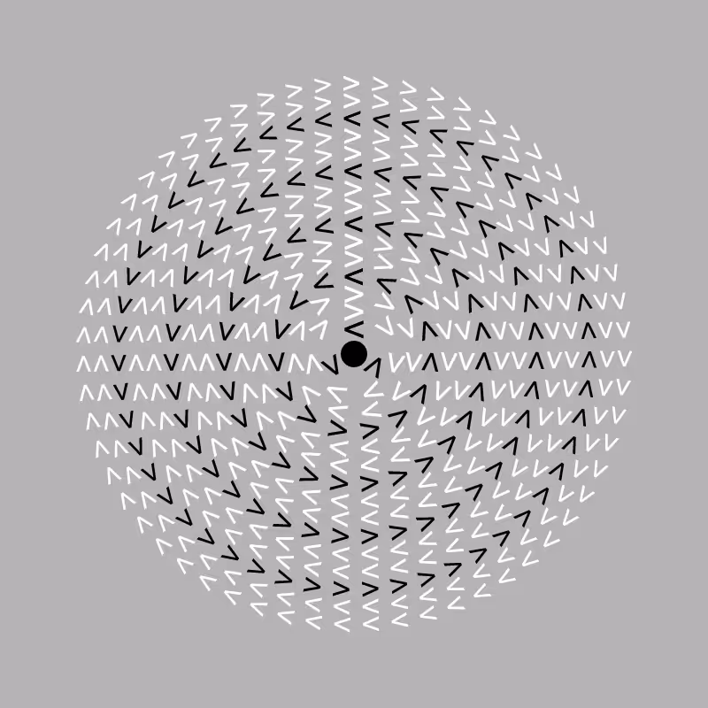 Dizzy Wheel #4