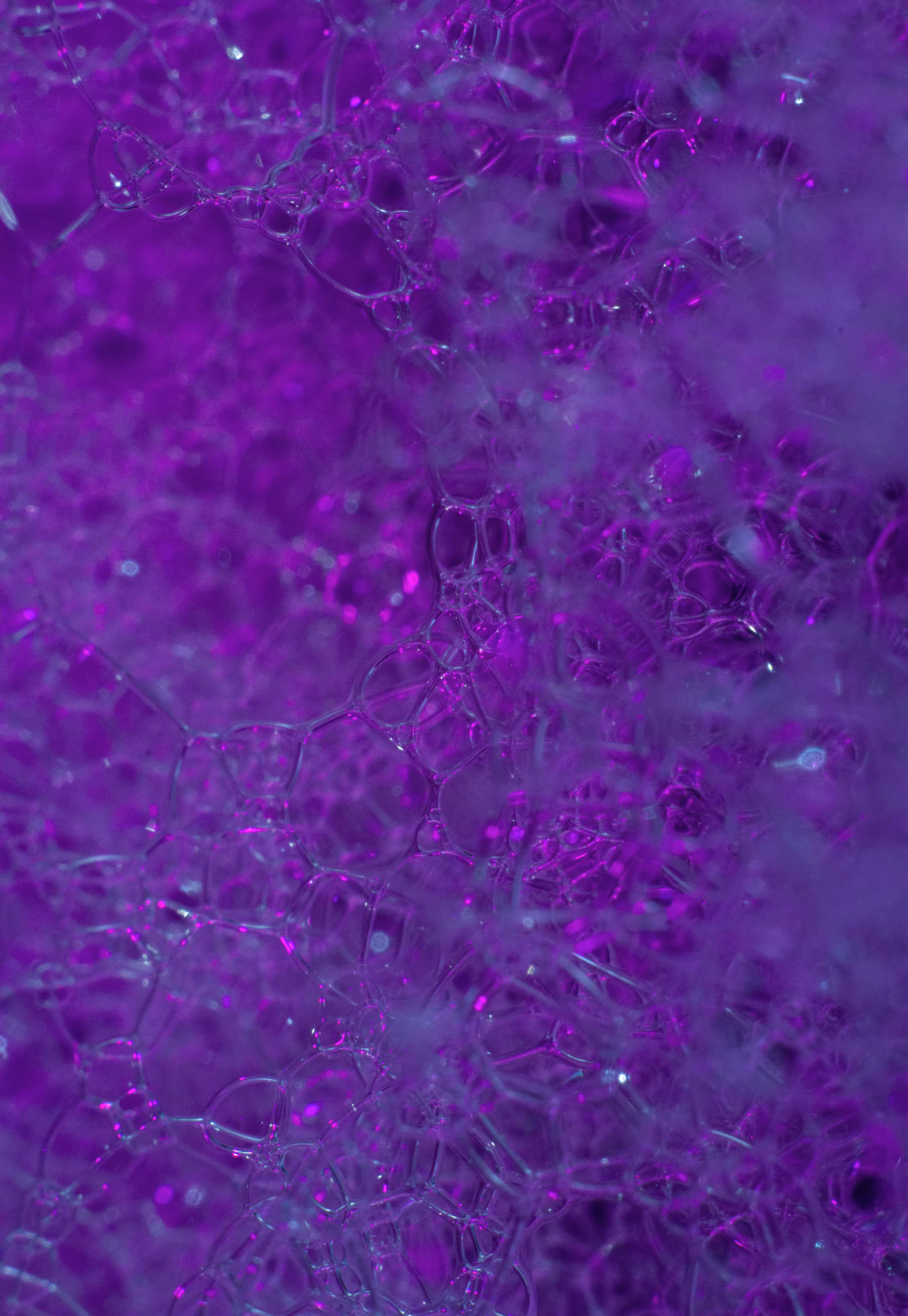 #118 Bubbles