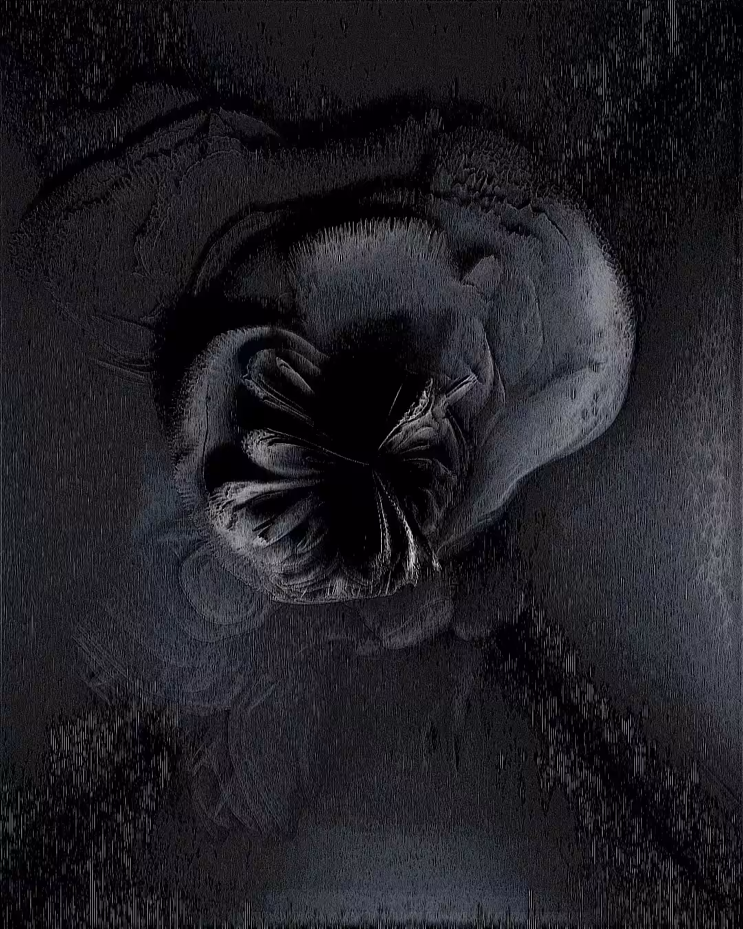 DEEP ECHO