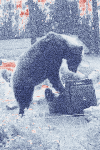 Trash Art: Unexpected act of trashy kindness 