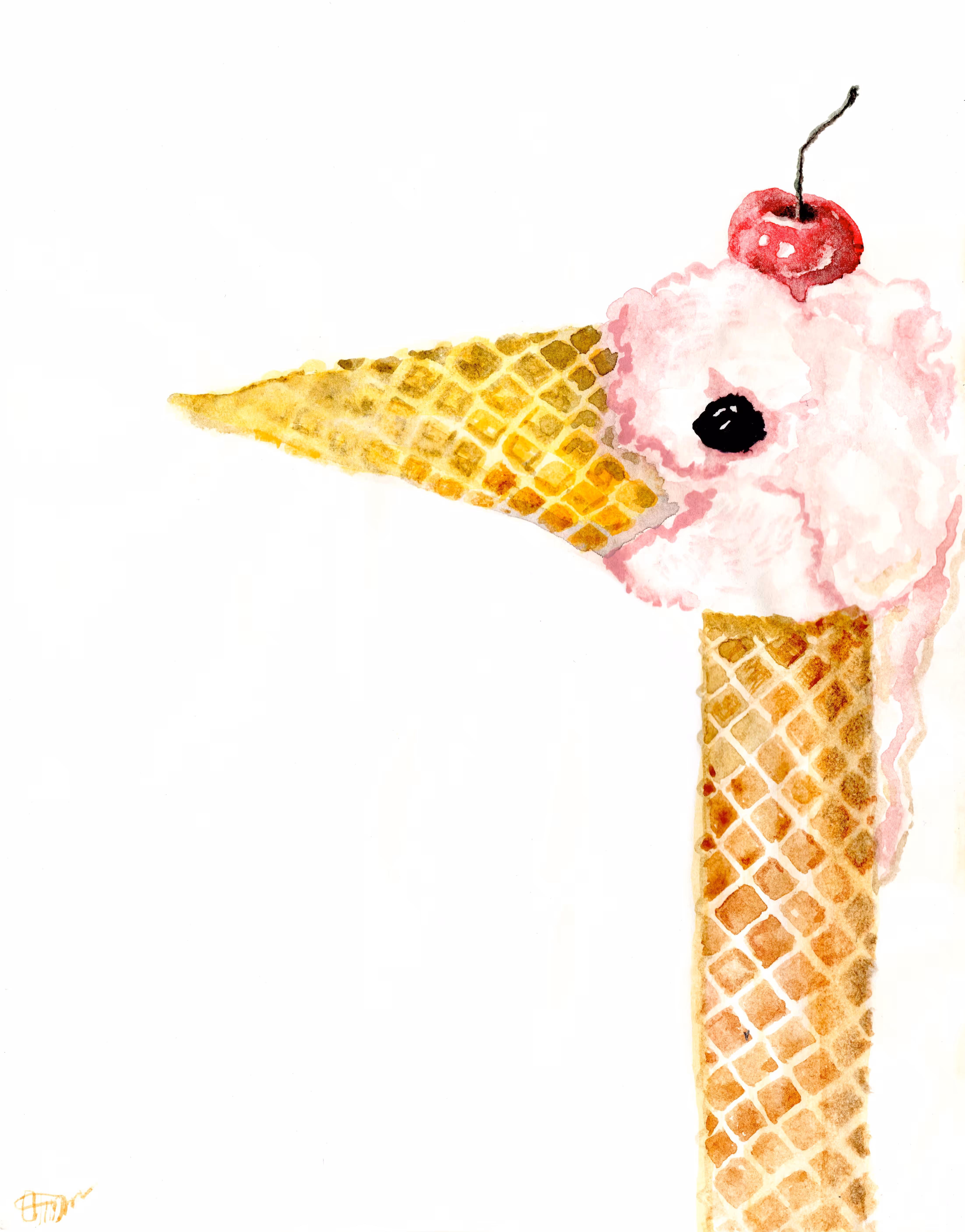ice-bird