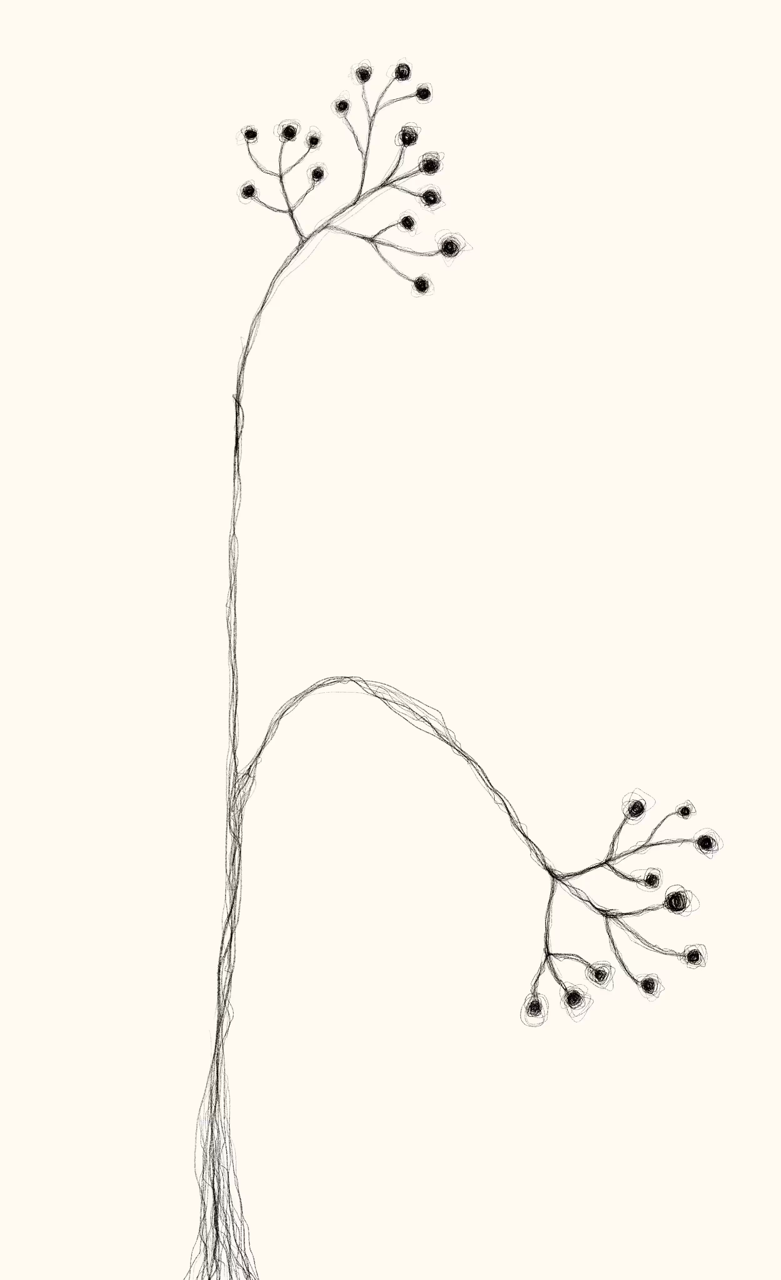 Minimal n.4