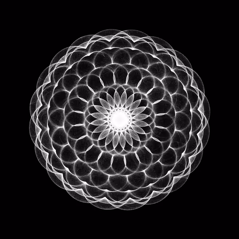 Many worlds #90