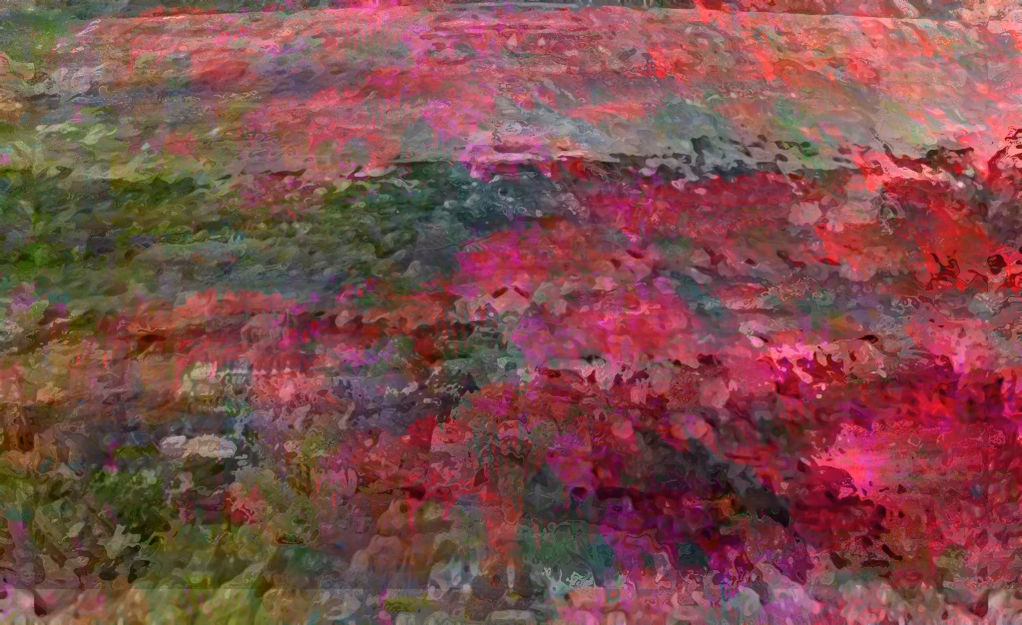Impressions oh house under the neigbor's flowers