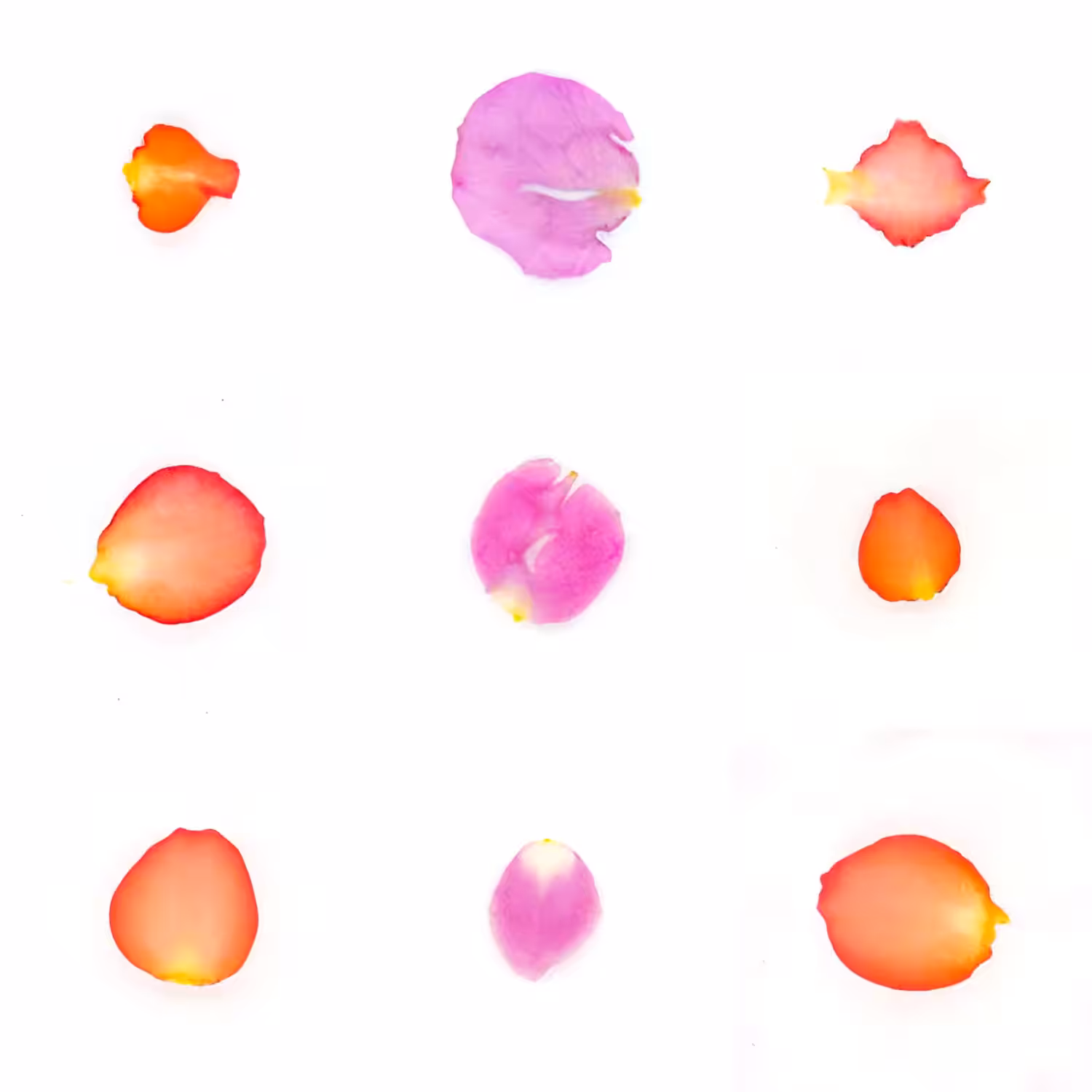 Infinite Petals 3x3#3880