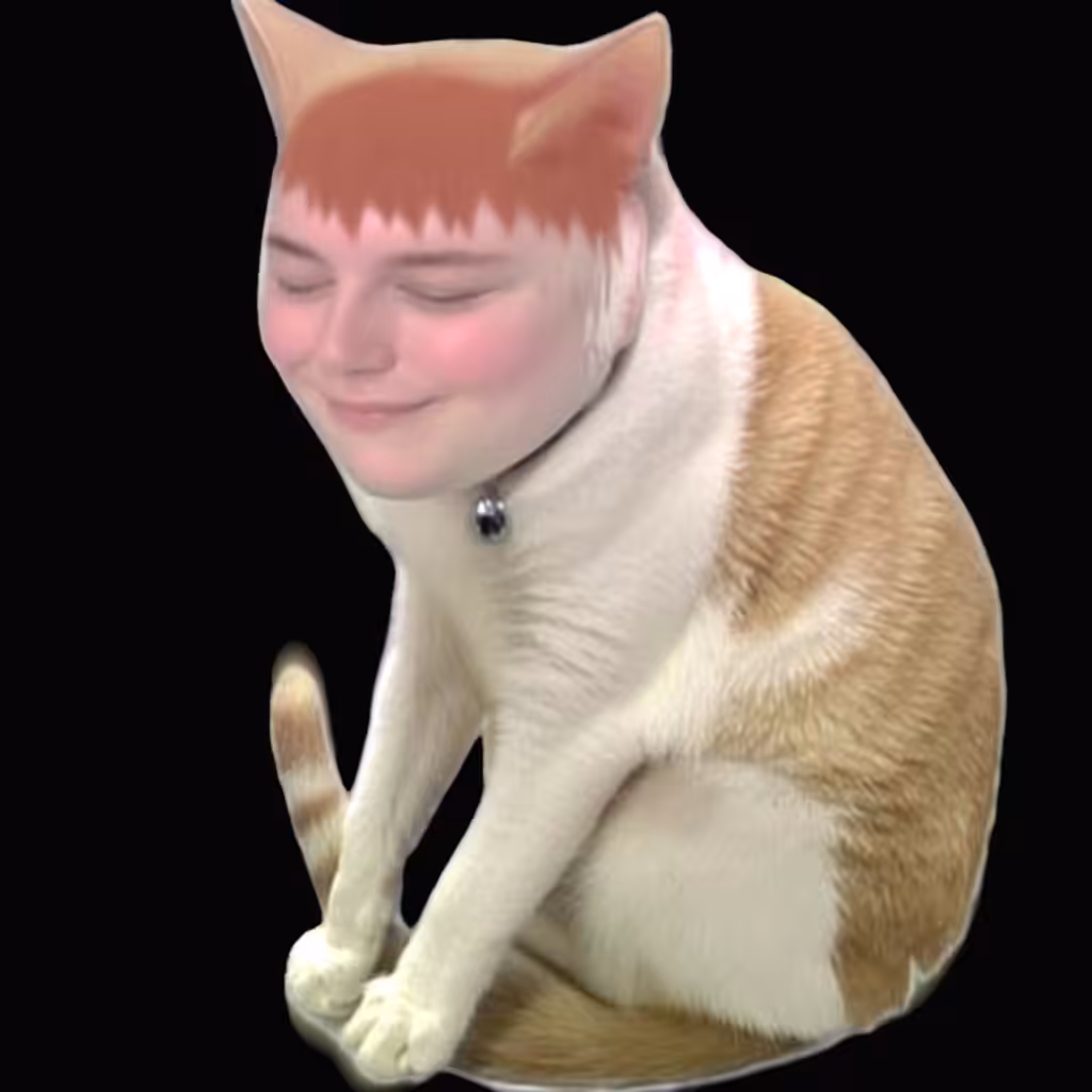 🐈