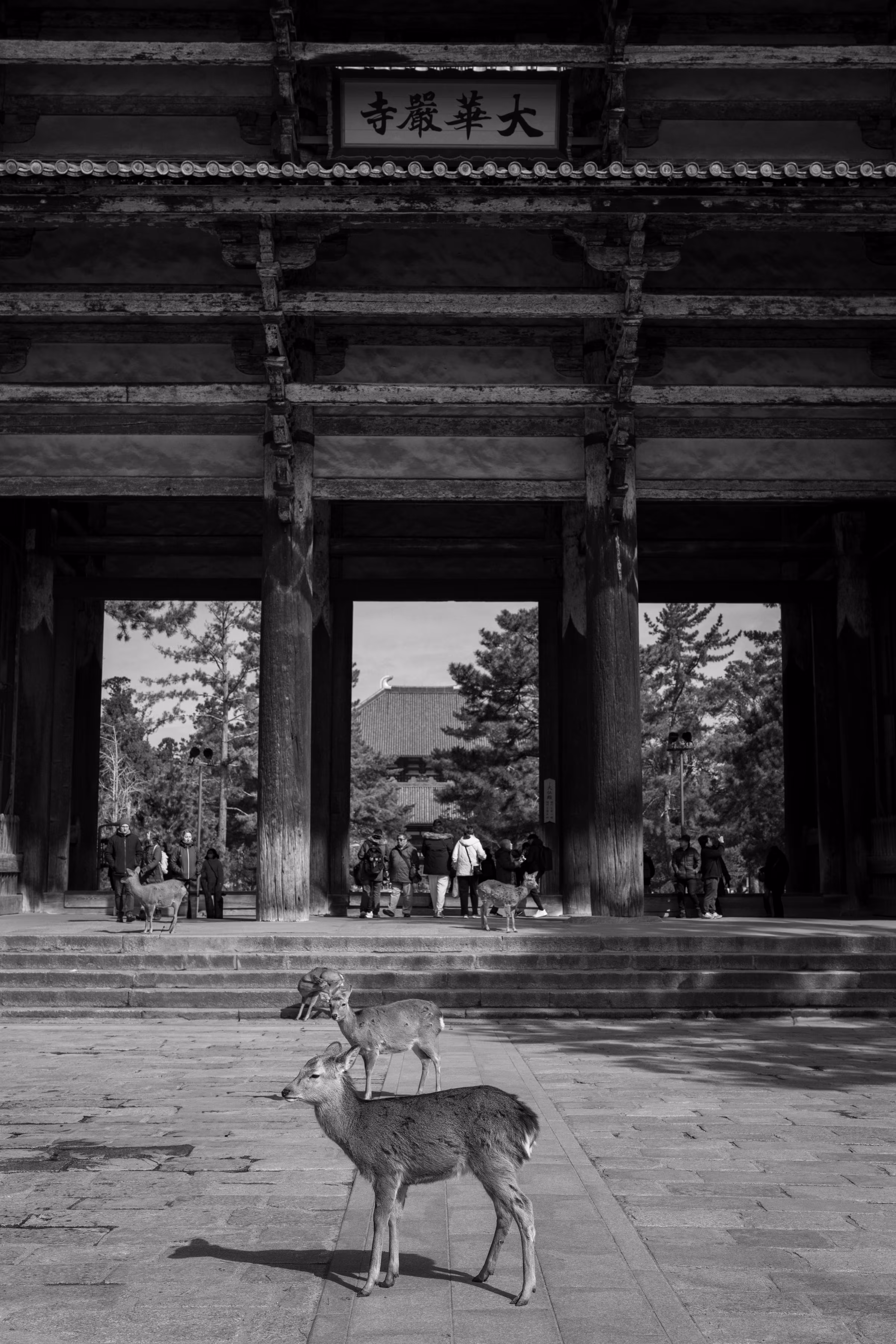 Nara