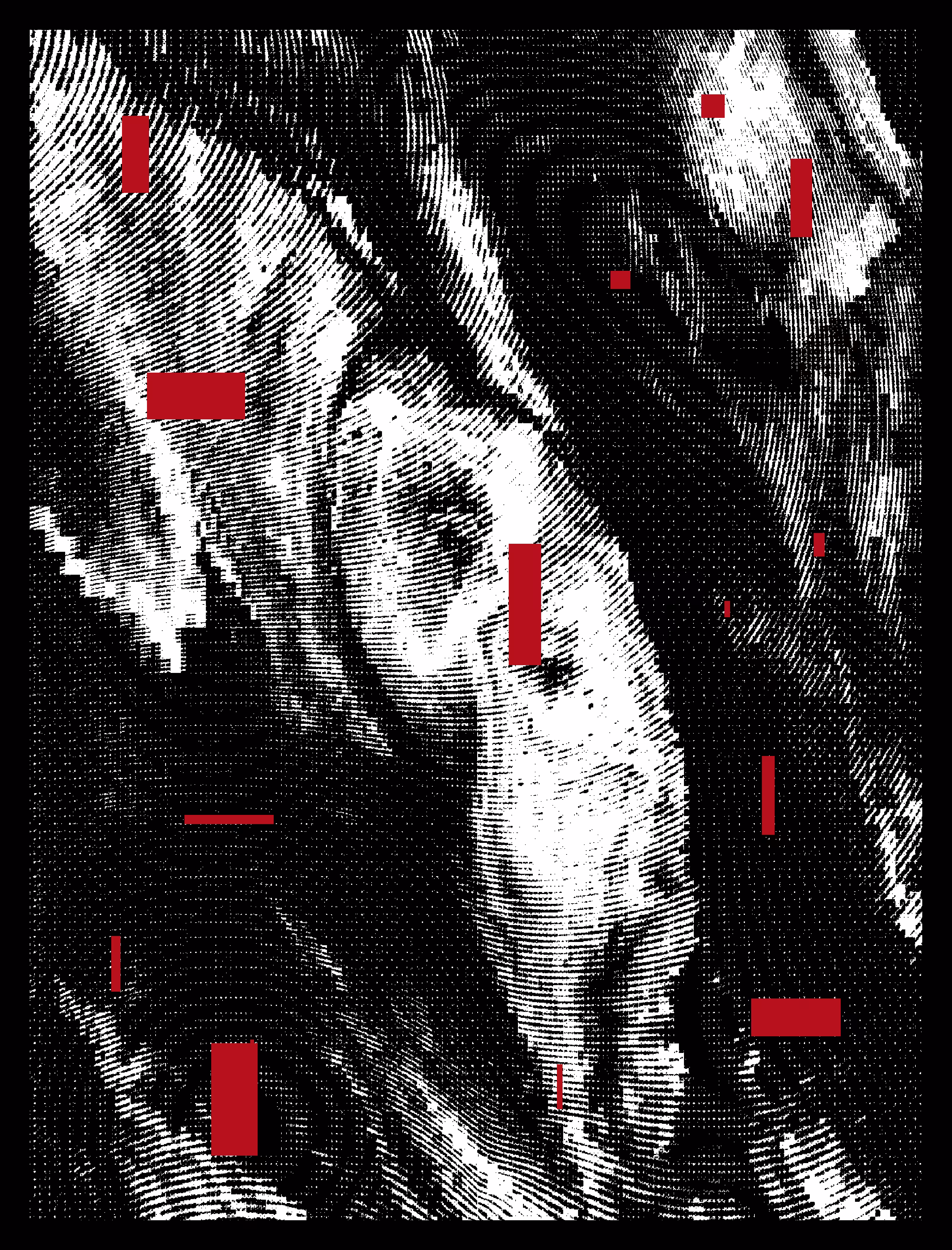 Decoy