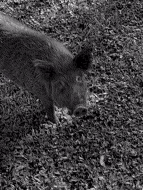 Yard Pig