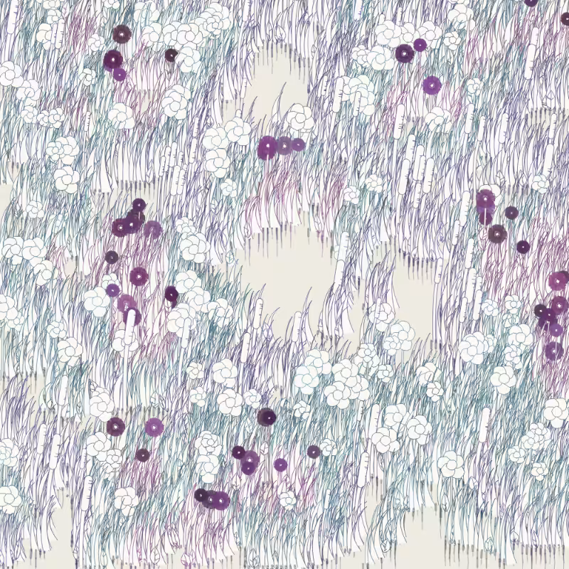 Petri 1500 #371