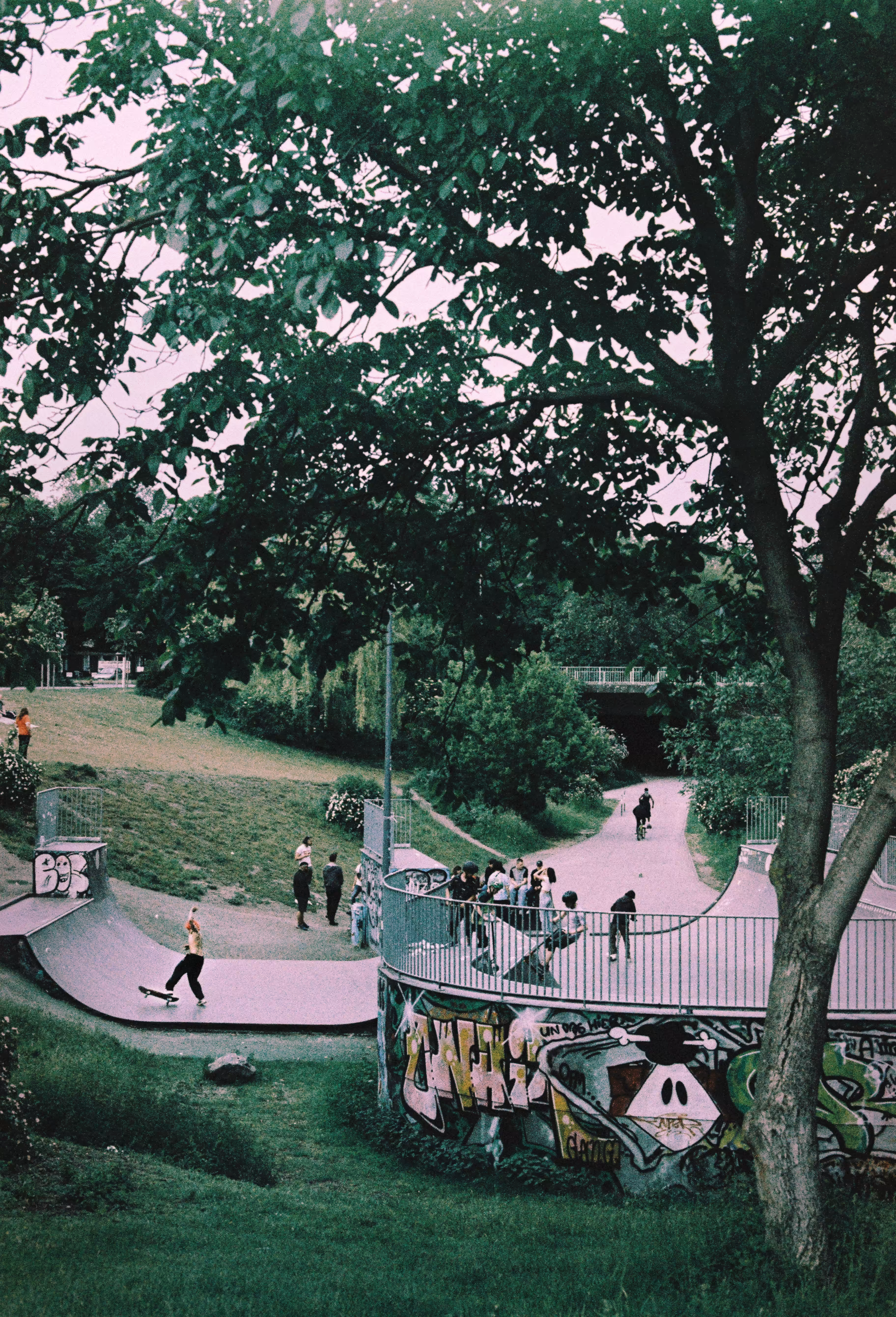 Sk8te