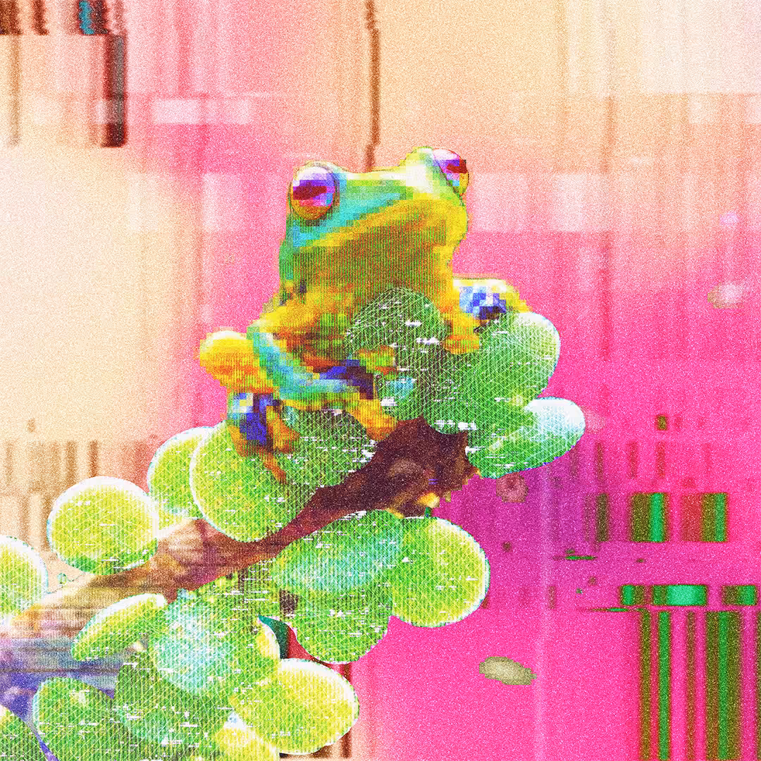 fr0̷g_011