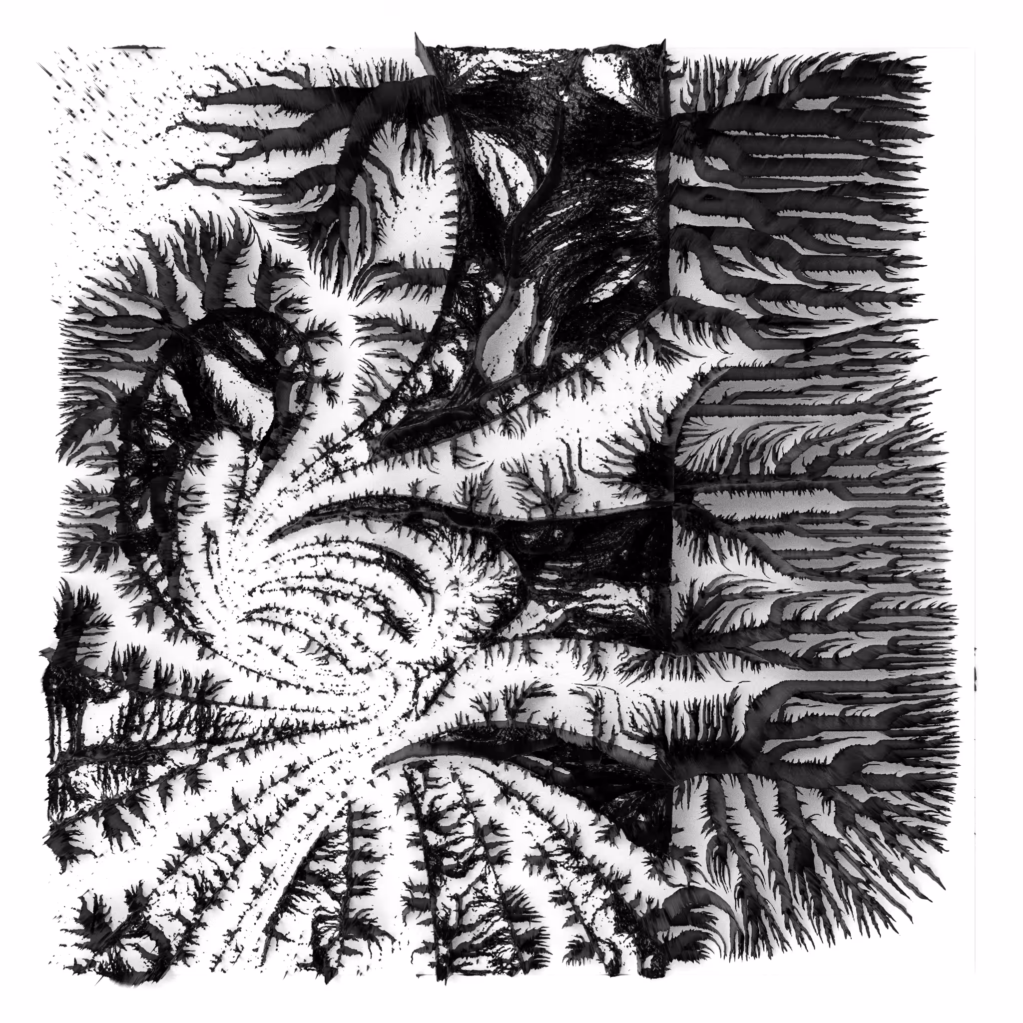 BW Algoscapes 10