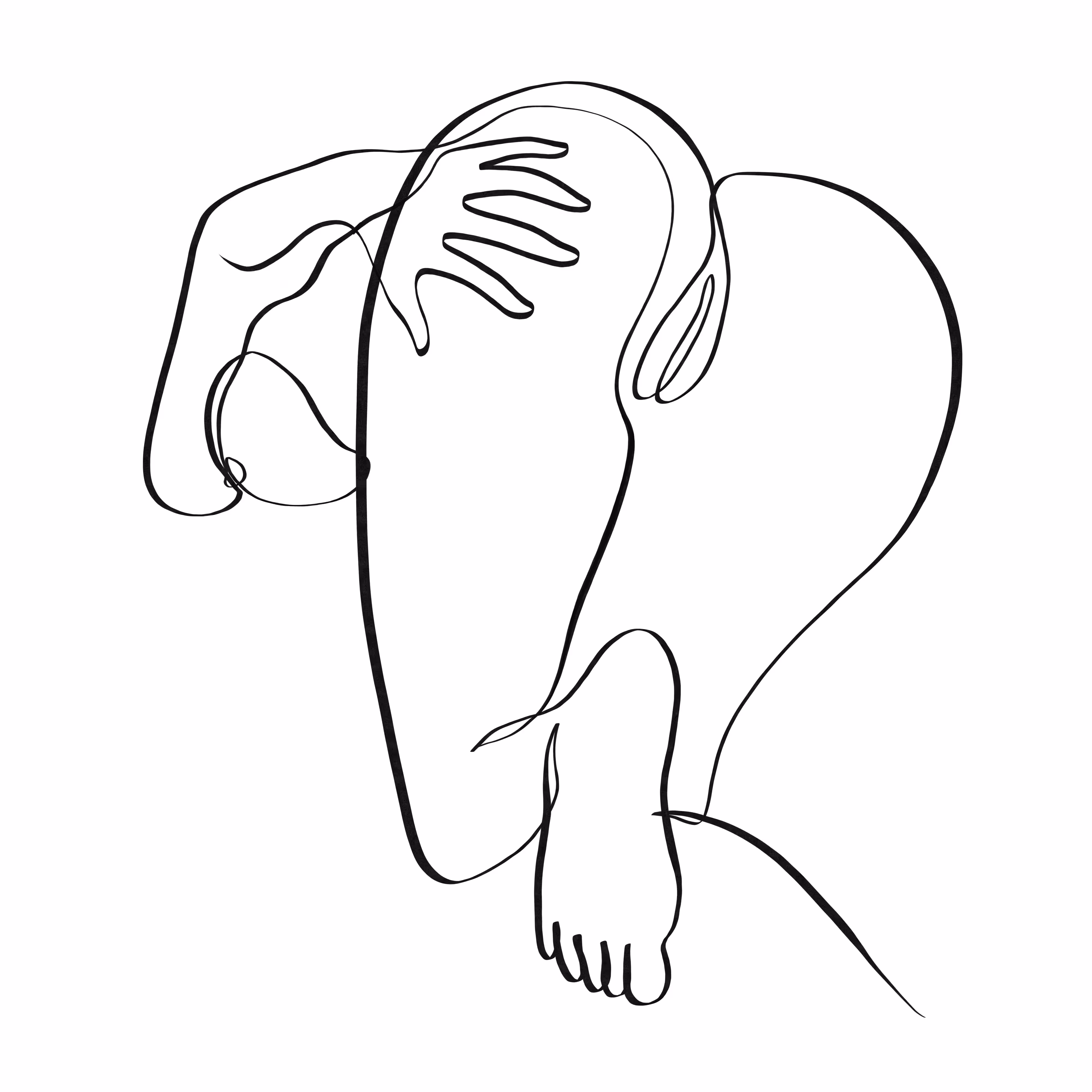 Wild pony sex position one line art #2