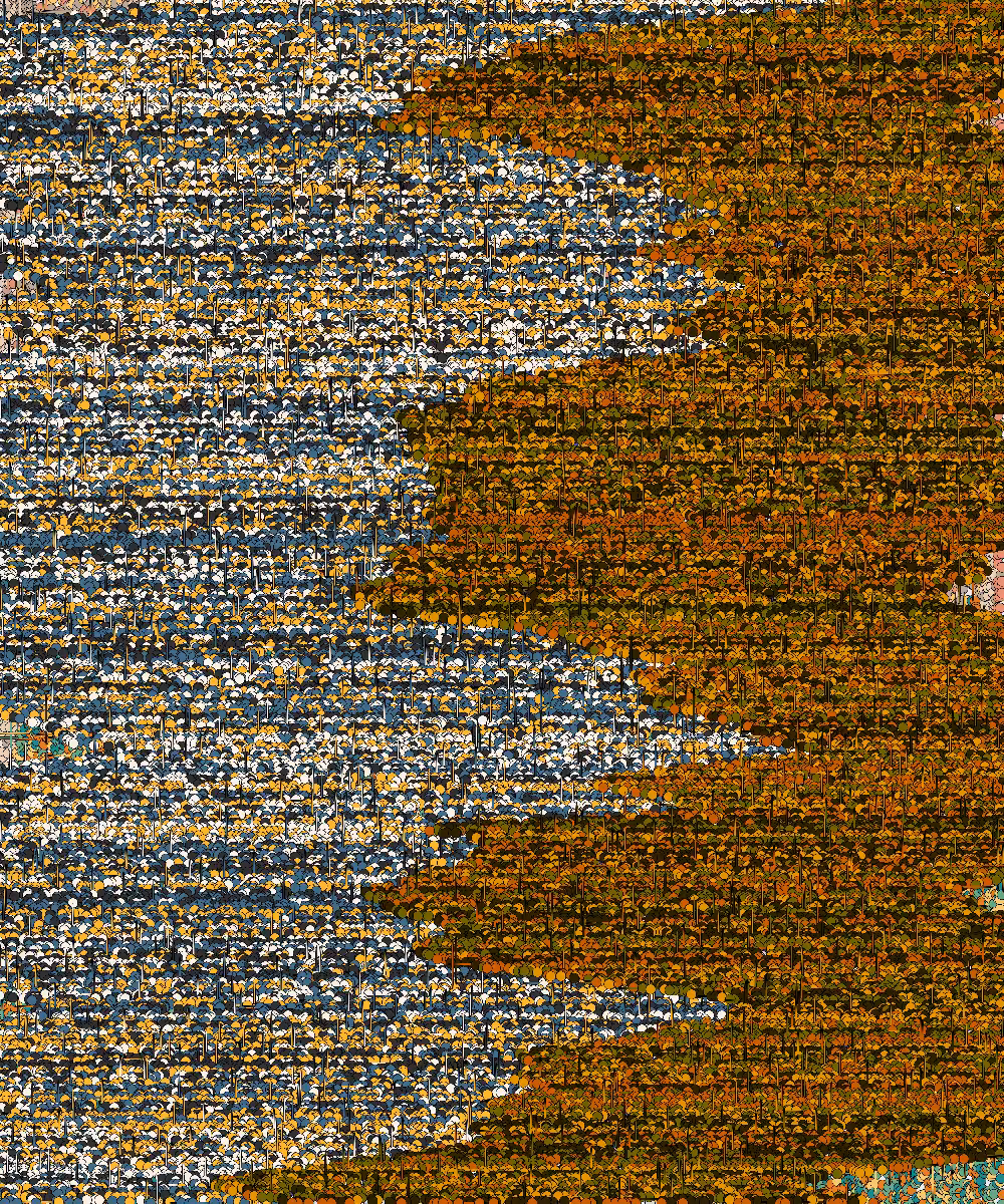 Noise #14