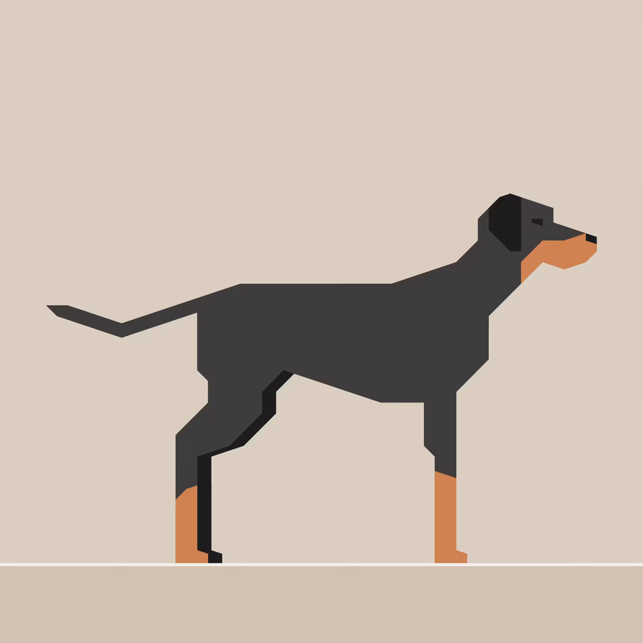 Dobermann