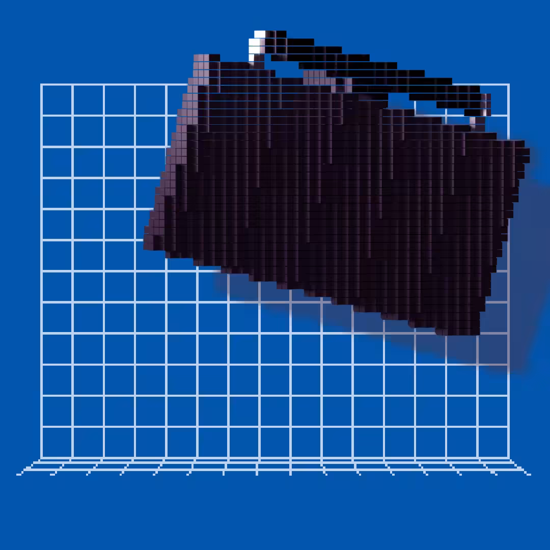 Voxel Eric 24