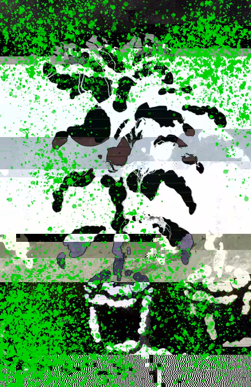 400 ERROR #34