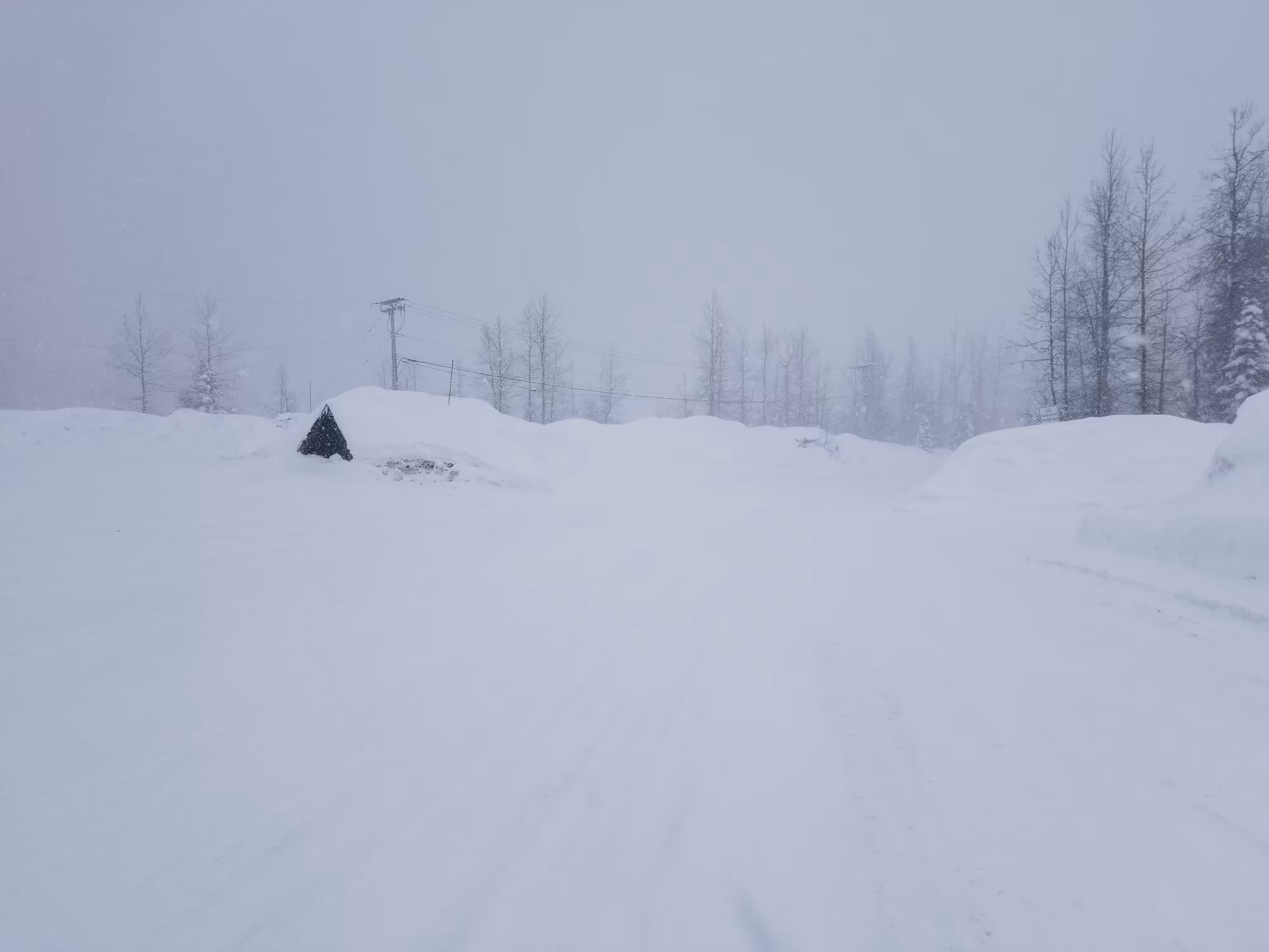I Drove In This...