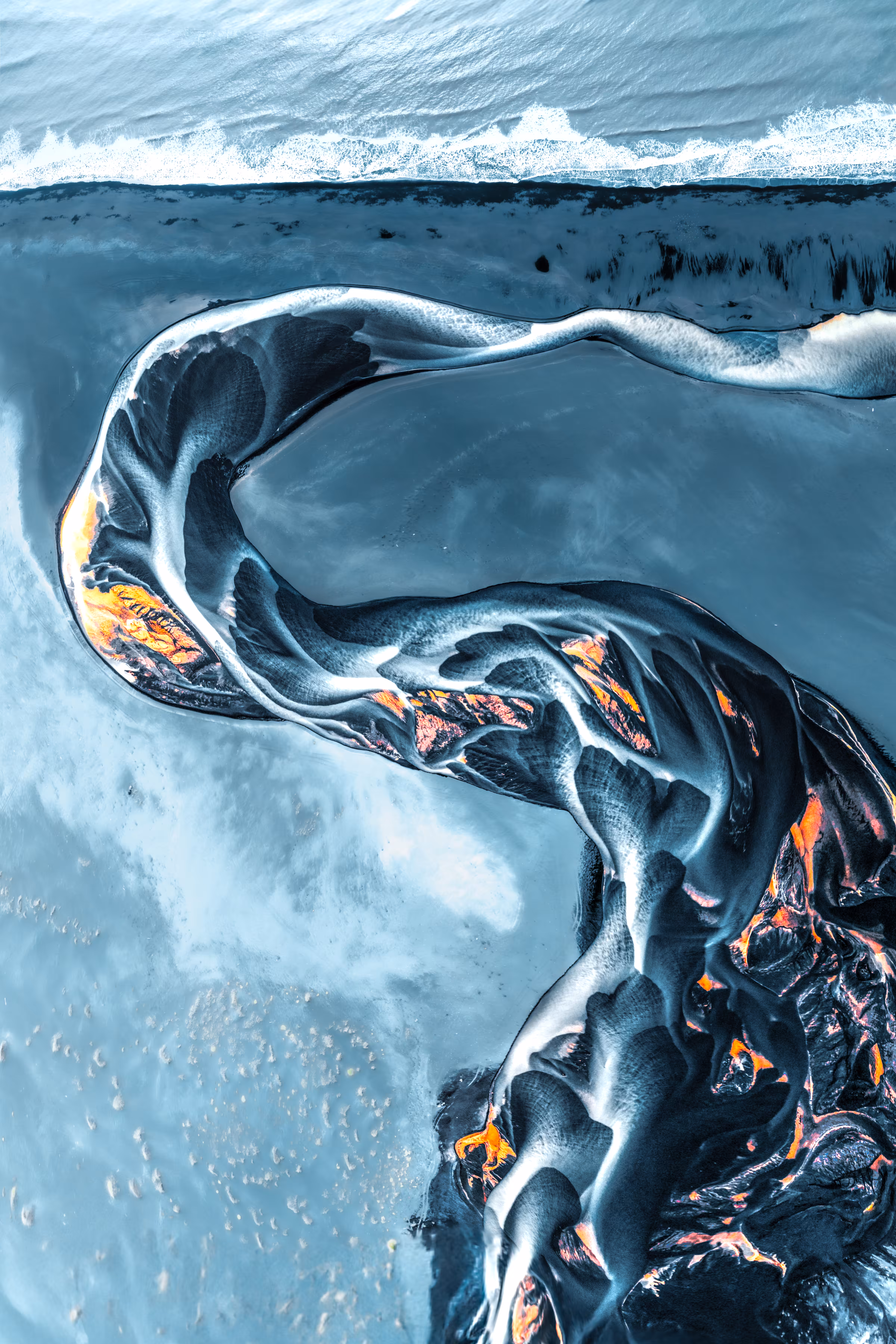 Swan of Destiny #3/22