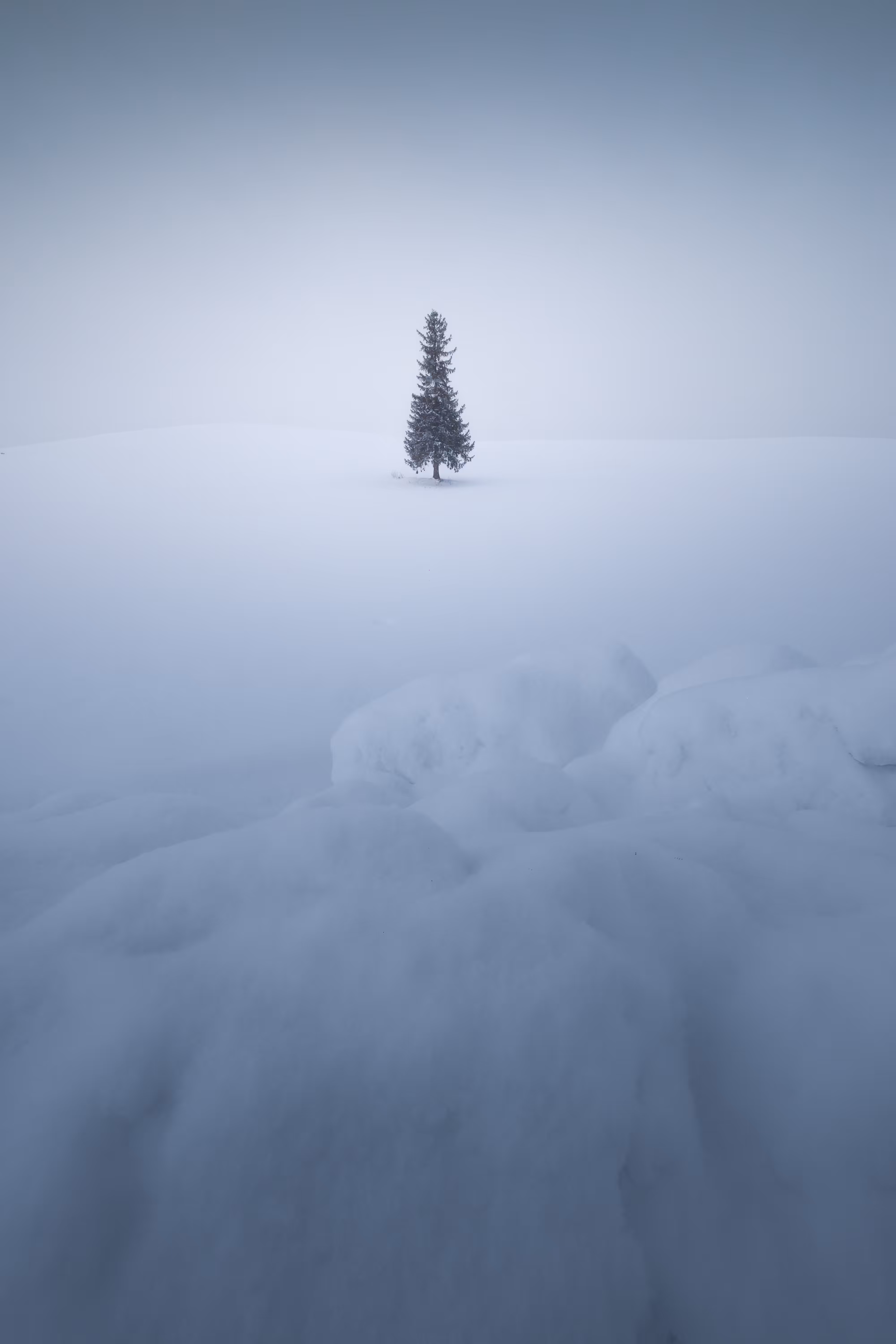 Winter Magic