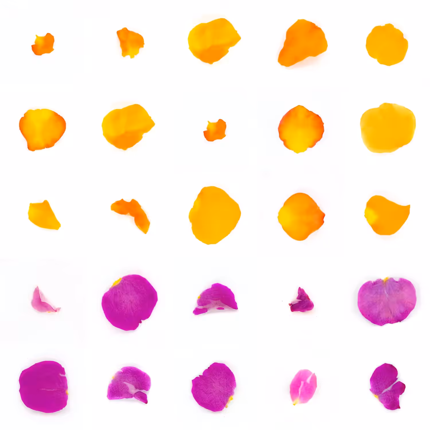 Infinite Petals 5x5#20999