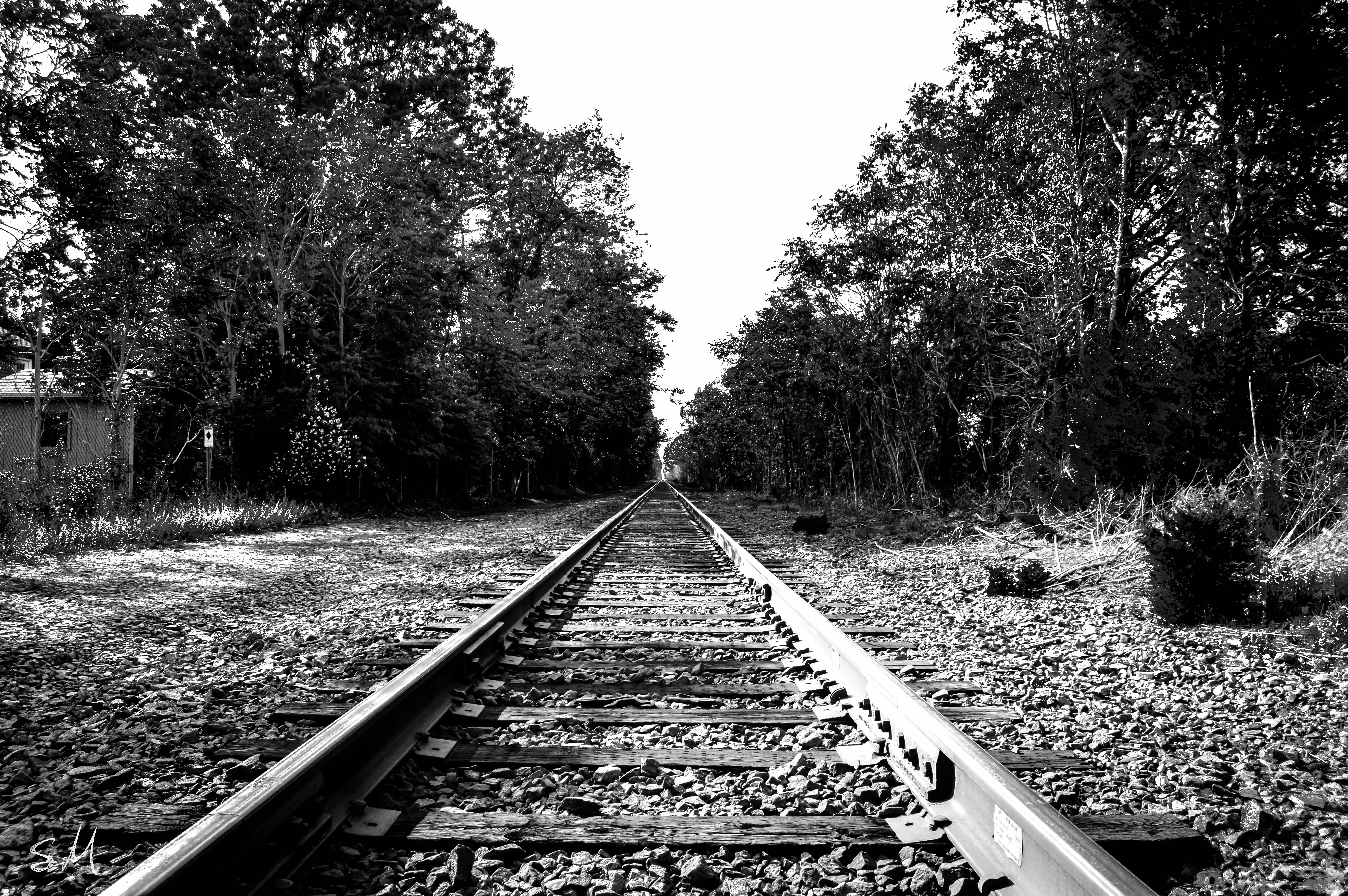 A Path to Discovery