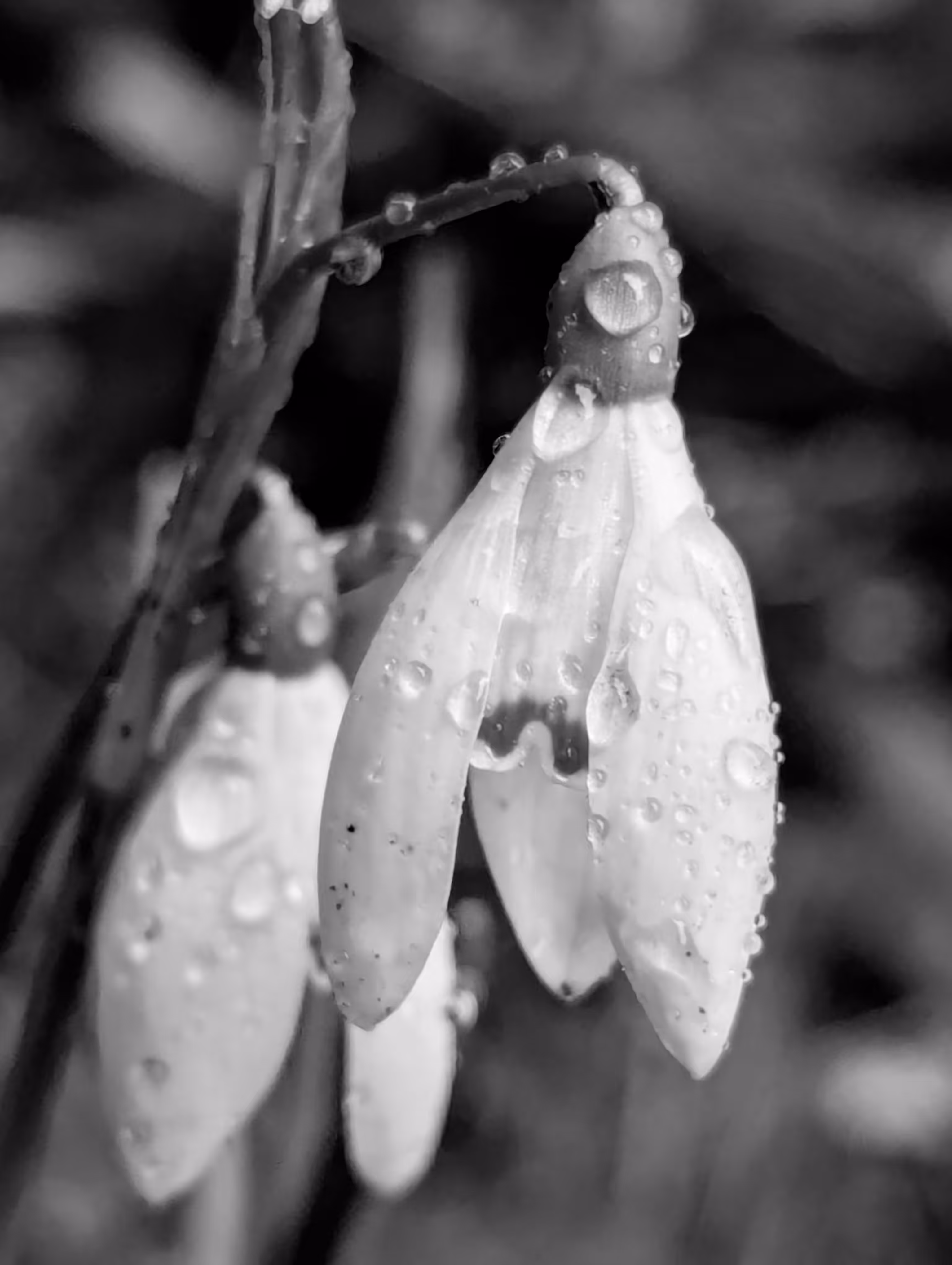 Rain on snow