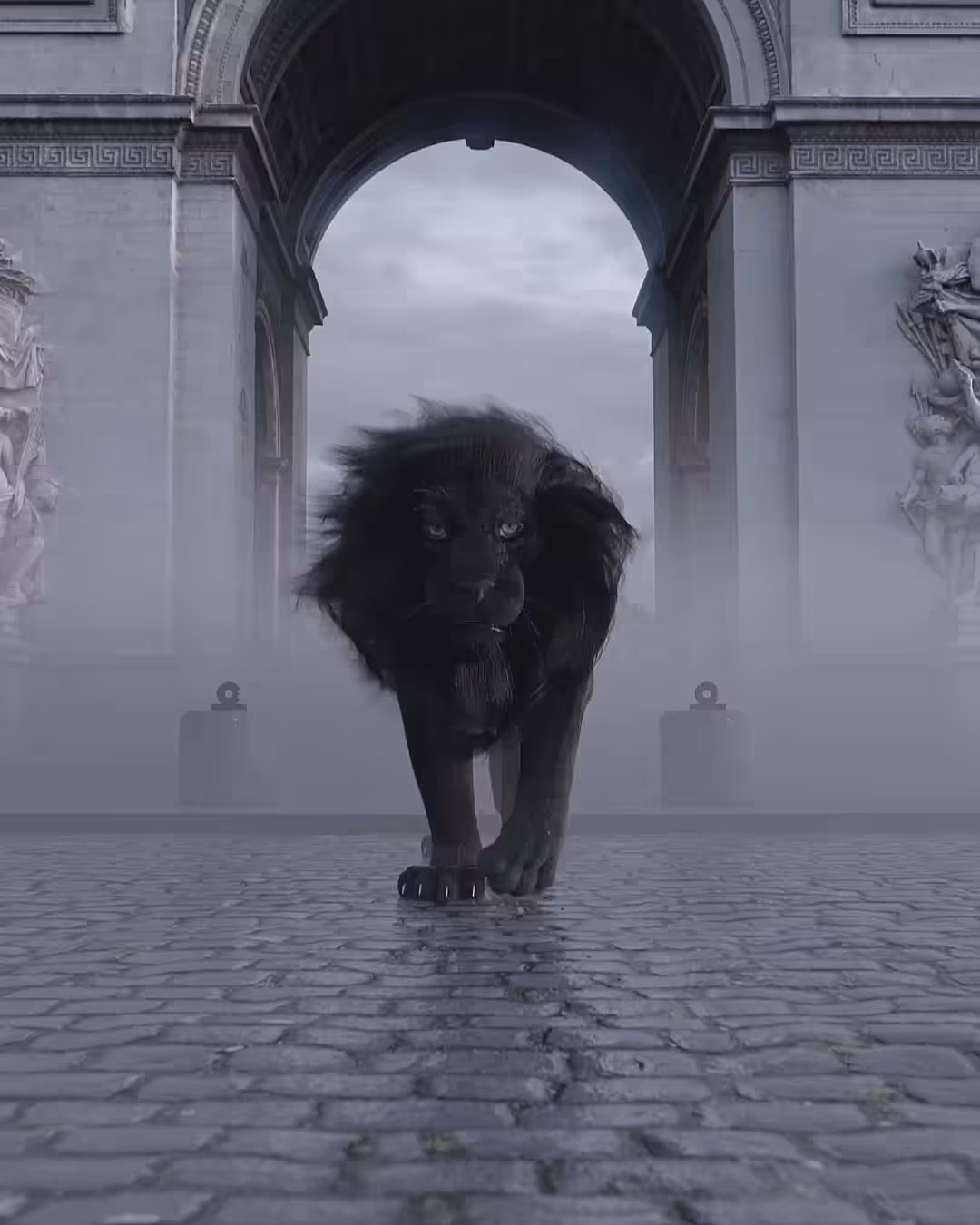 Blvck Lion