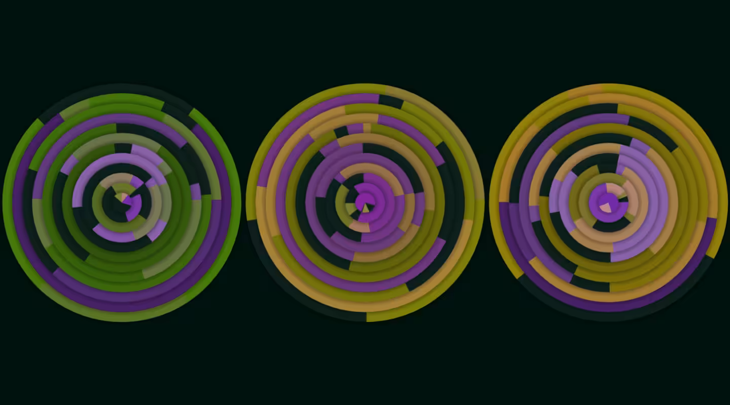Circles Within Circles Spinning #21